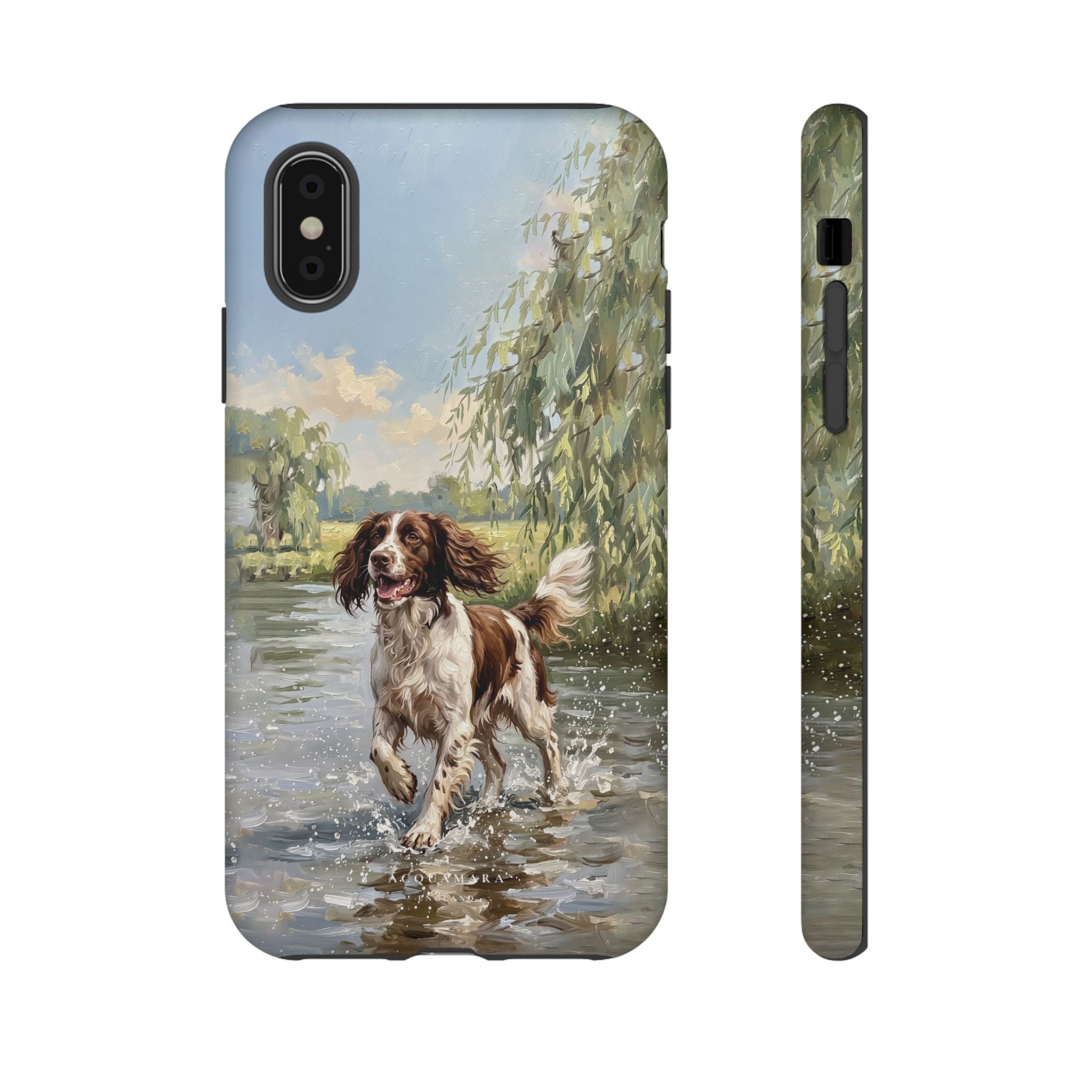 The Springer Spaniel (Liver and White)