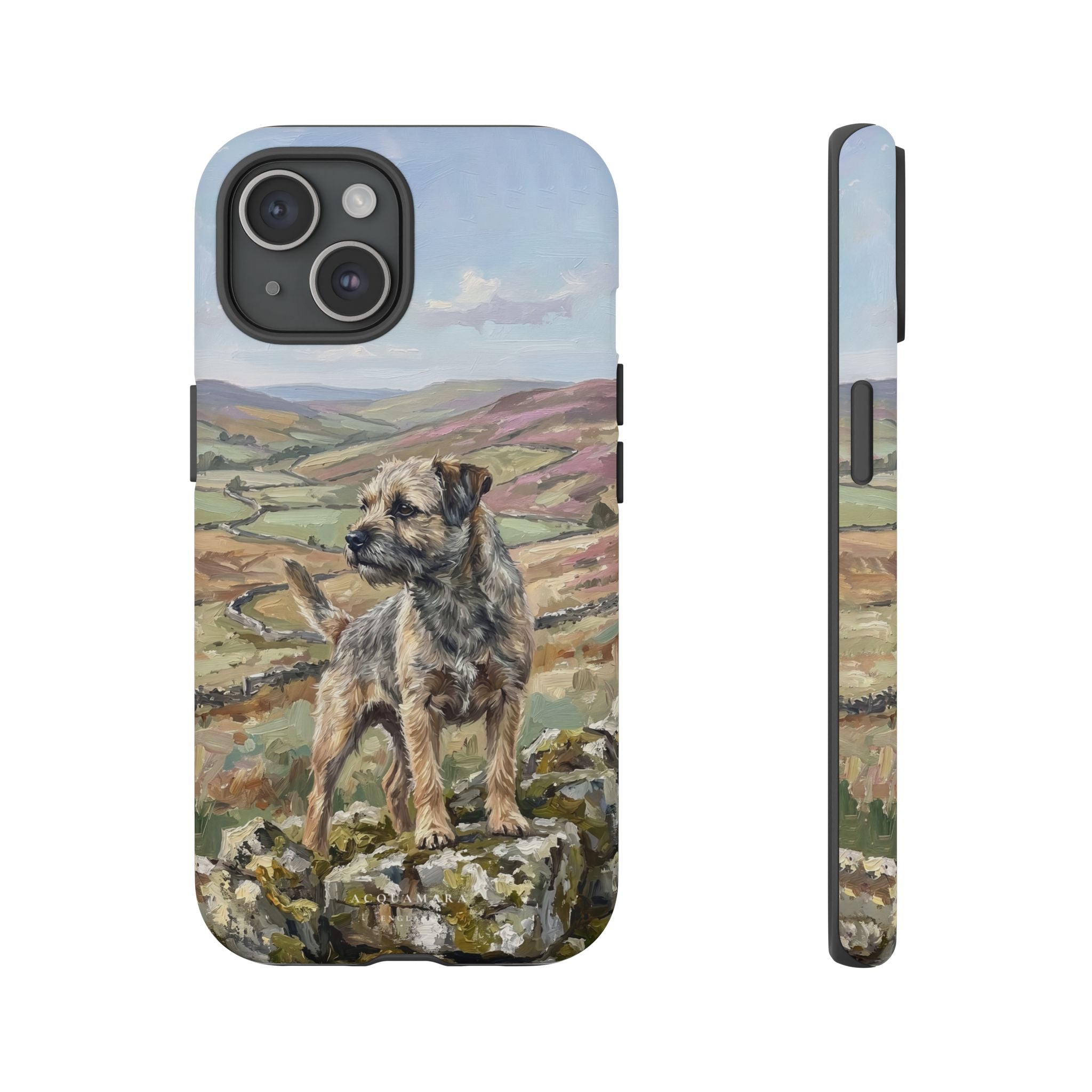 The Border Terrier (Grizzle and Tan)