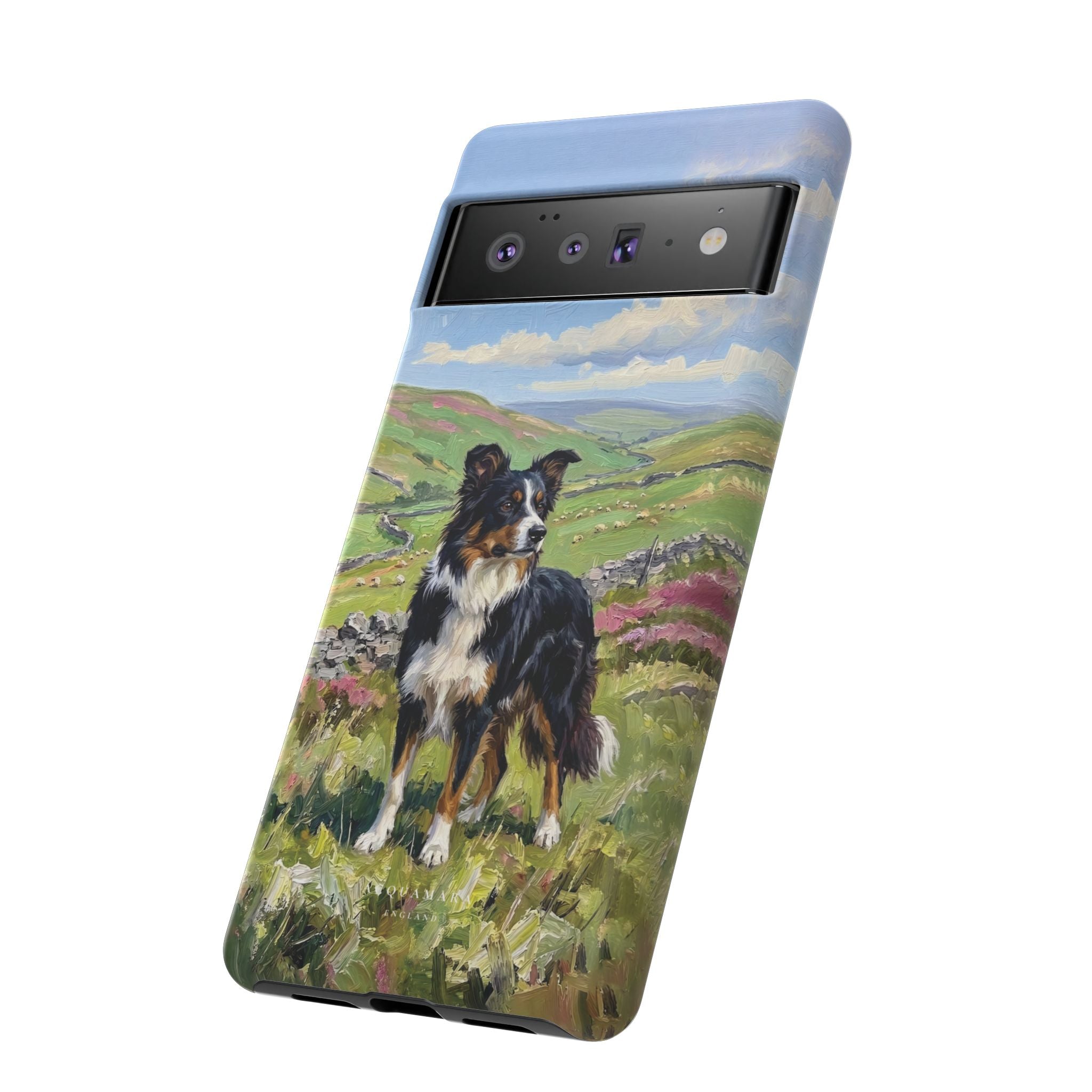The Border Collie