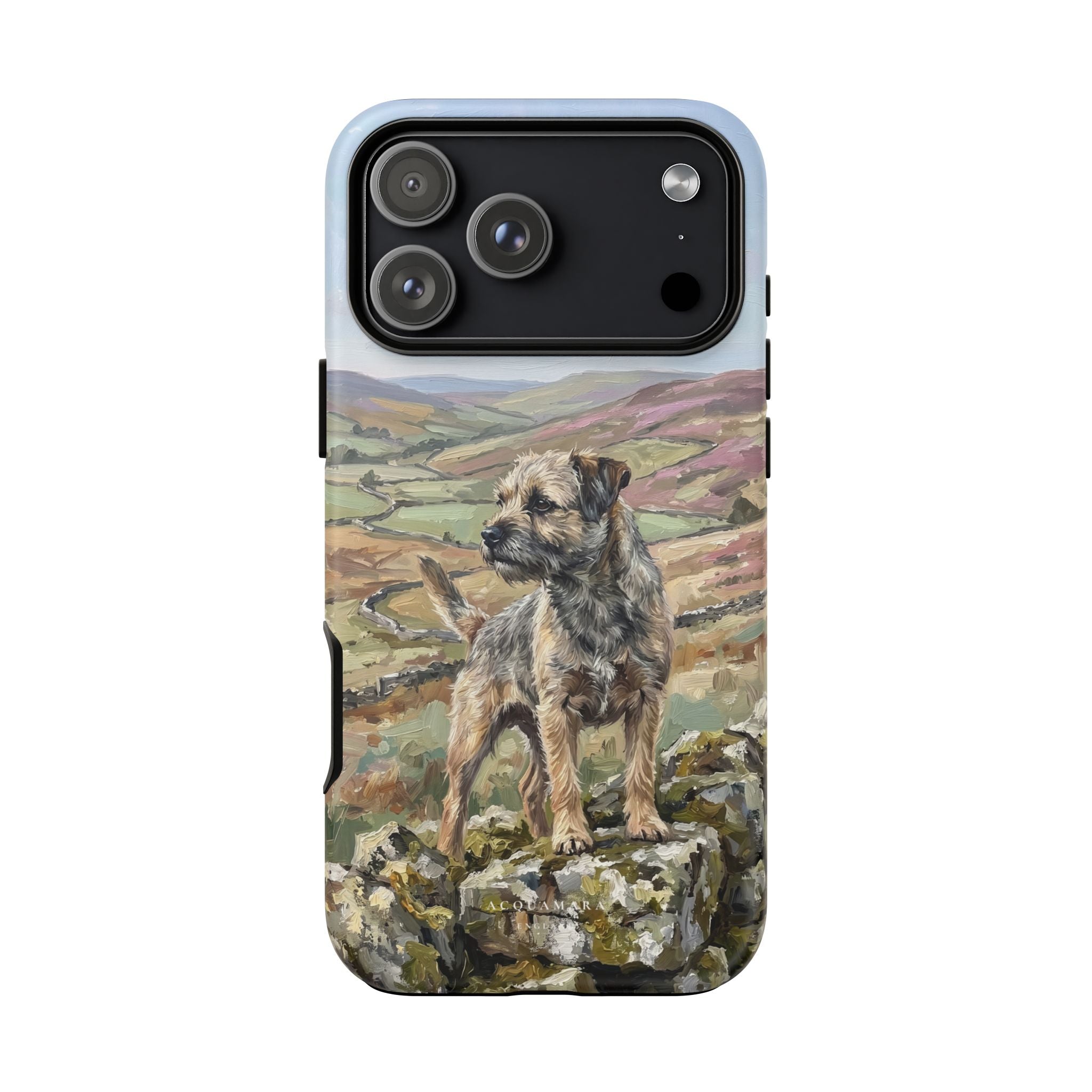 The Border Terrier (Grizzle and Tan)