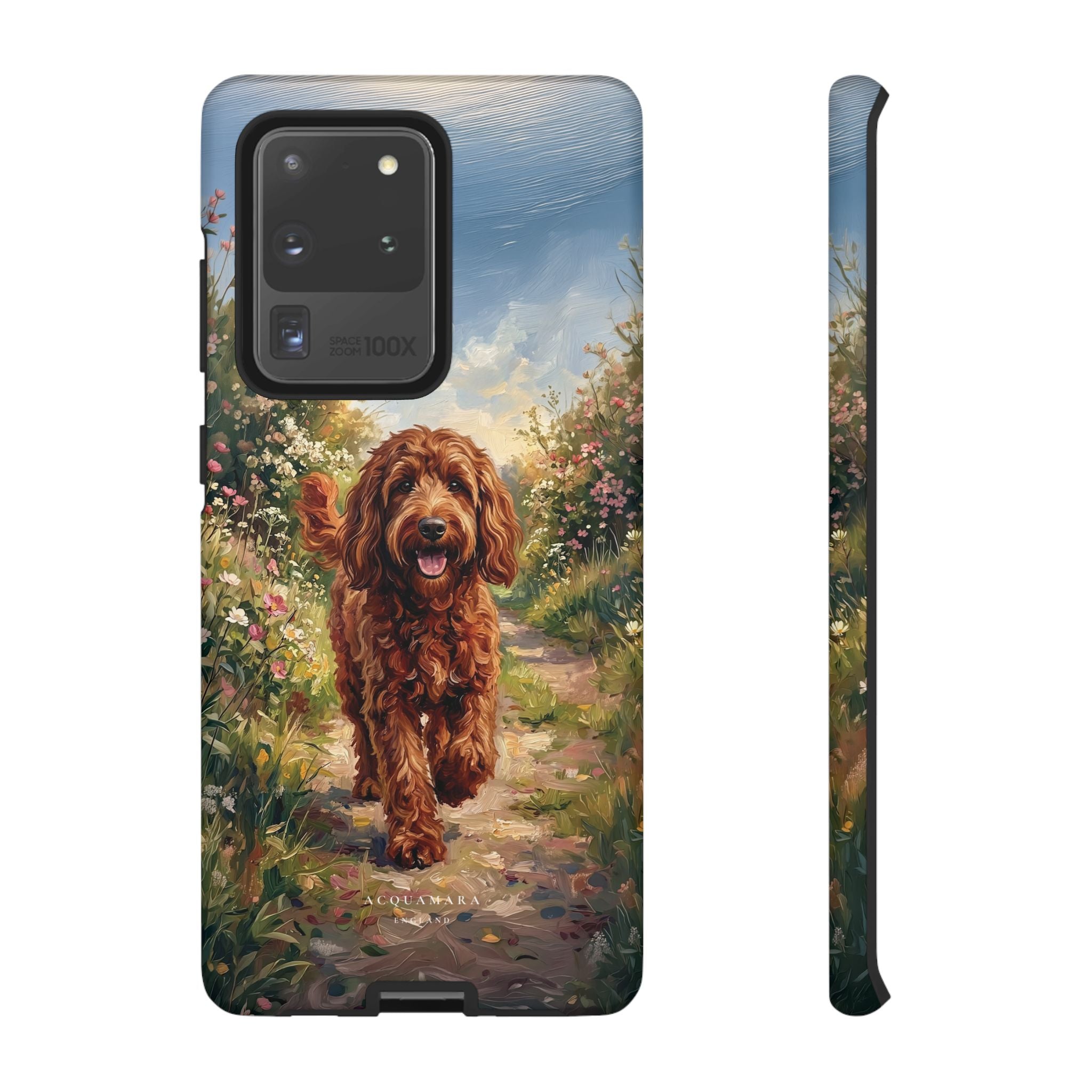 The Goldendoodle