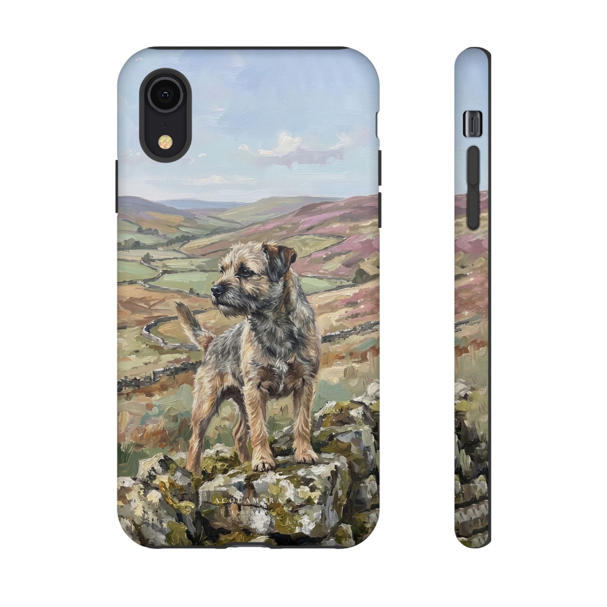The Border Terrier (Grizzle and Tan)