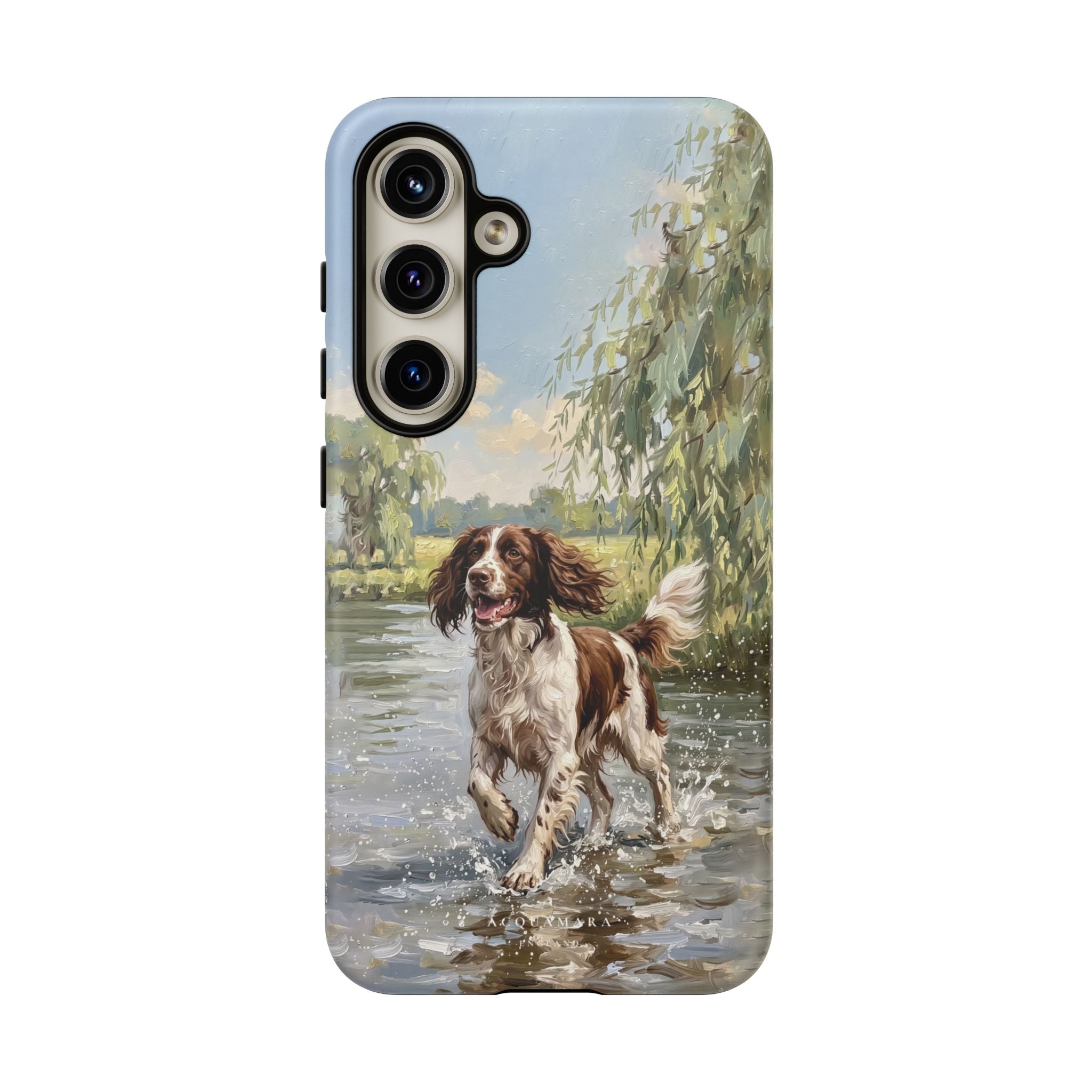 The Springer Spaniel (Liver and White)