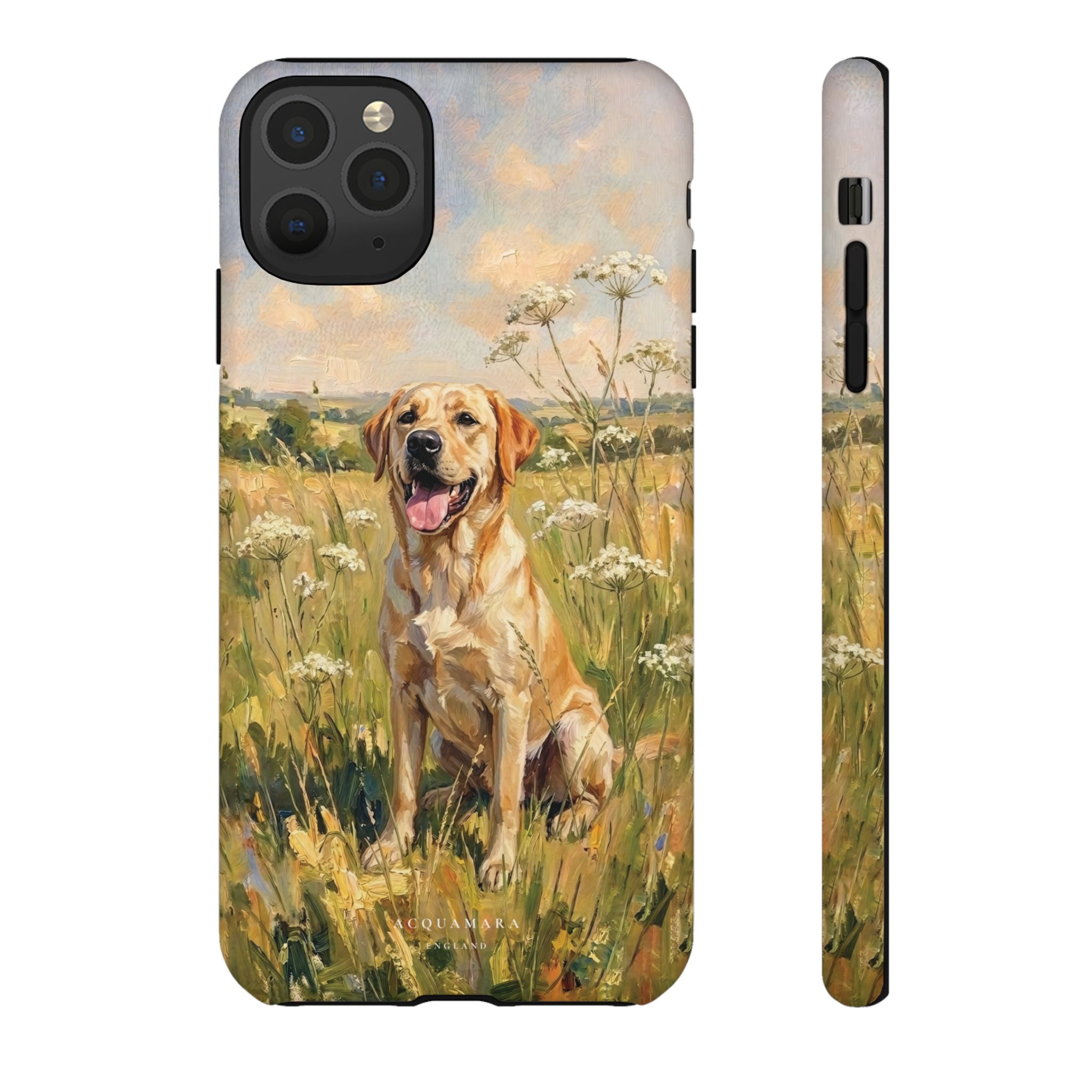 The Labrador (Yellow)