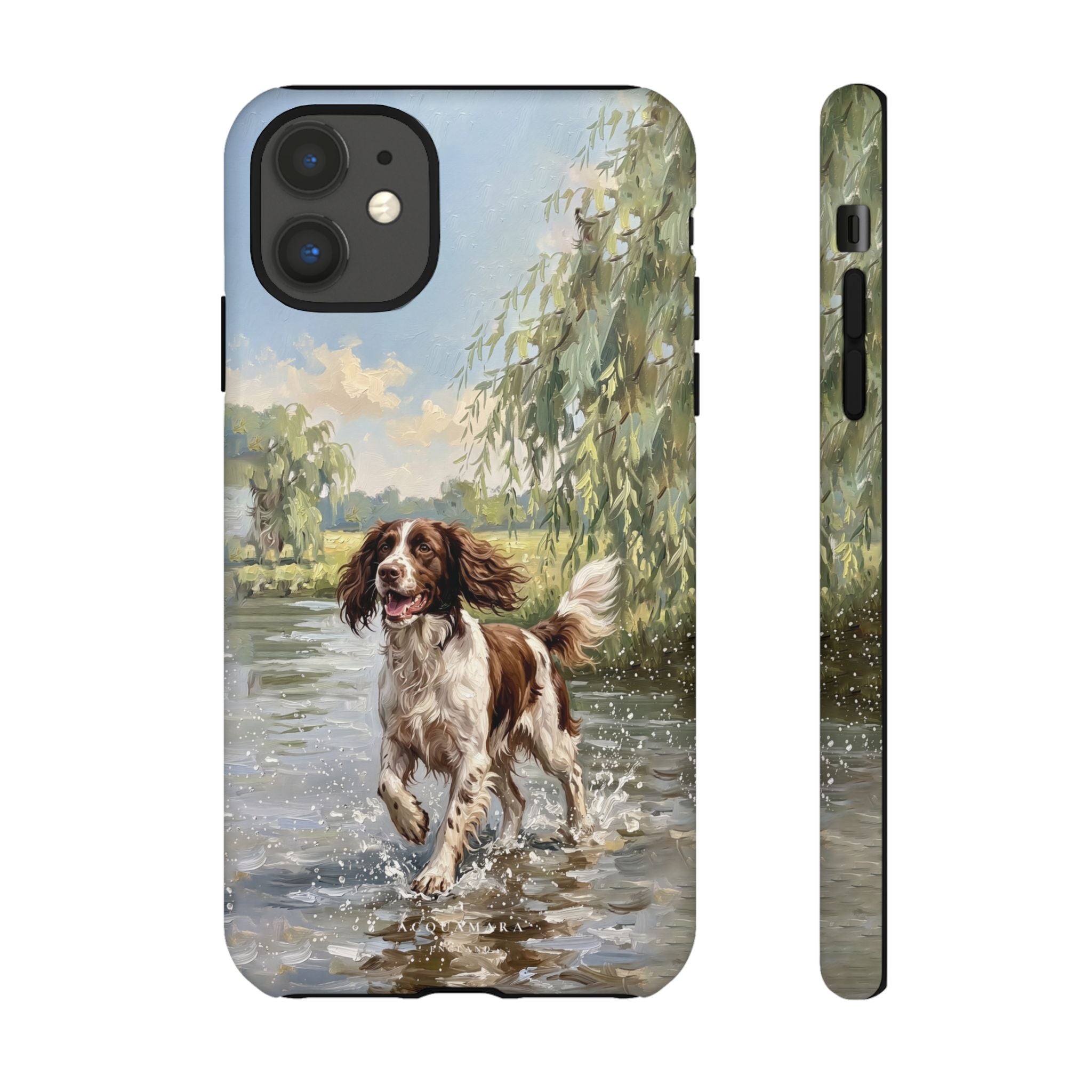 The Springer Spaniel (Liver and White)
