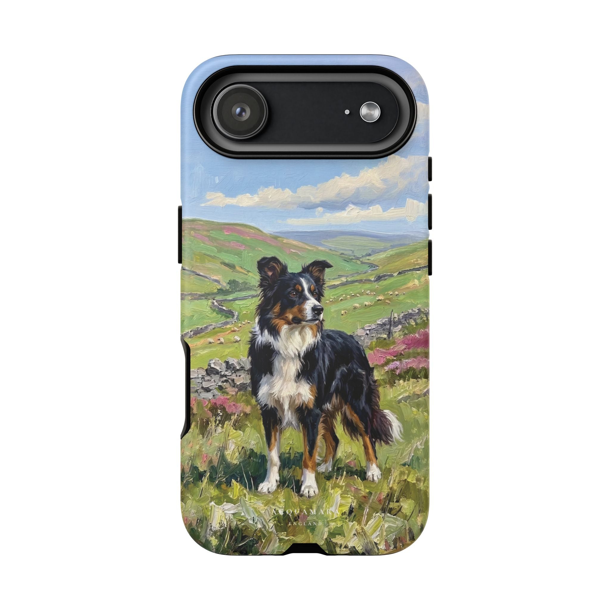The Border Collie