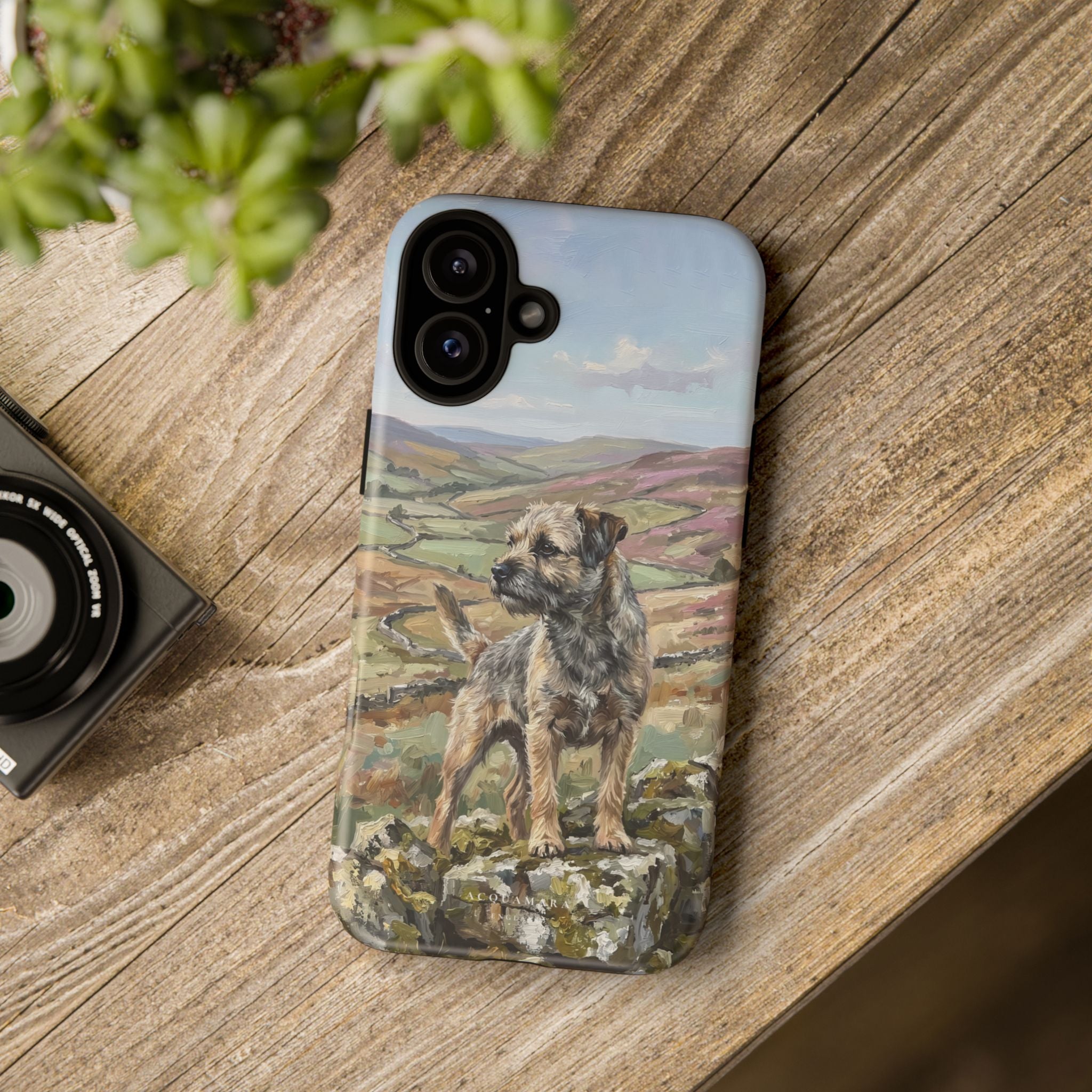 The Border Terrier (Grizzle and Tan)