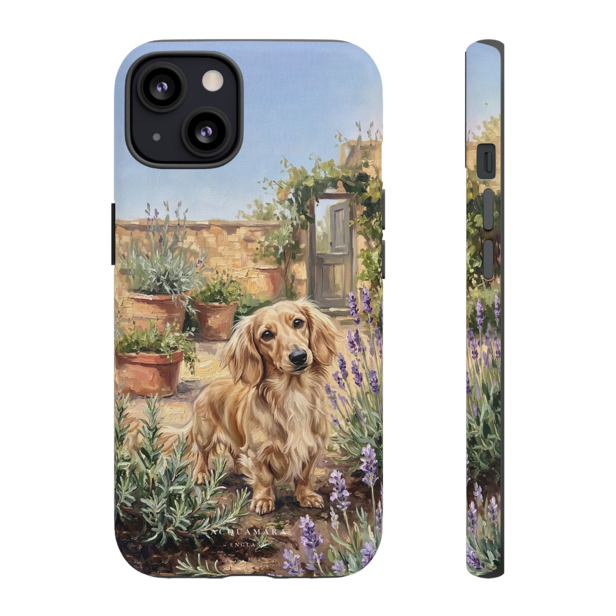 The Dachshund (Blonde long hair)