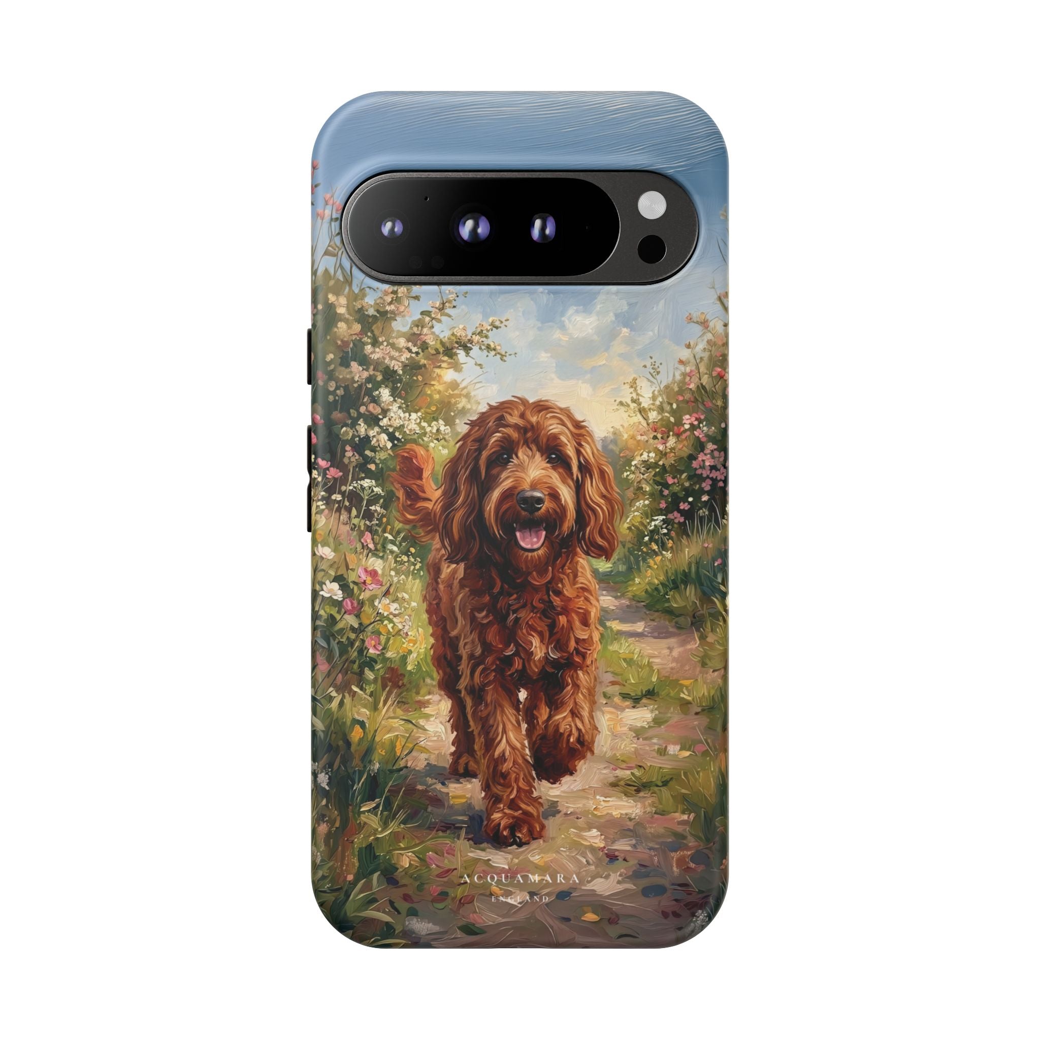 The Goldendoodle