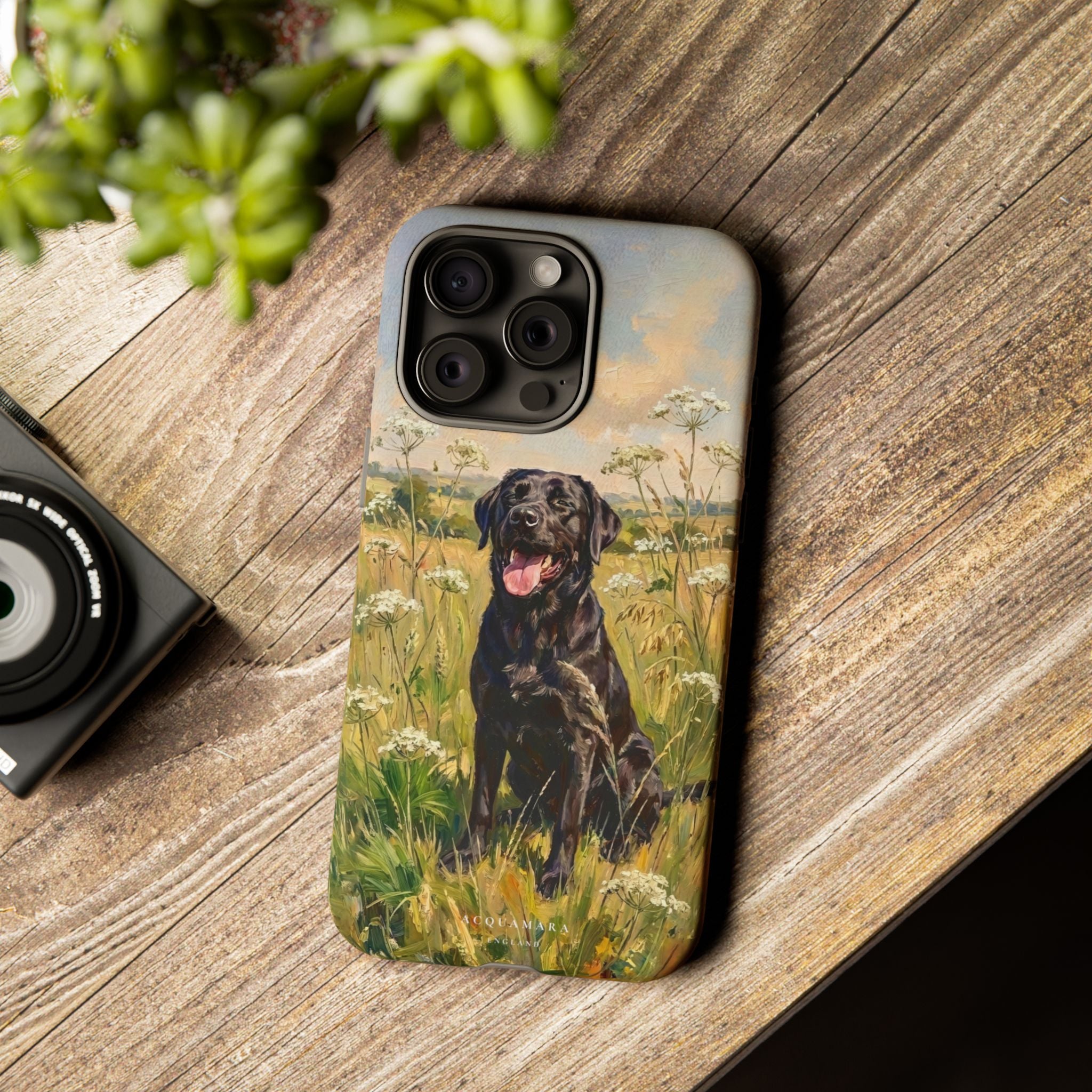 The Labrador (Black)