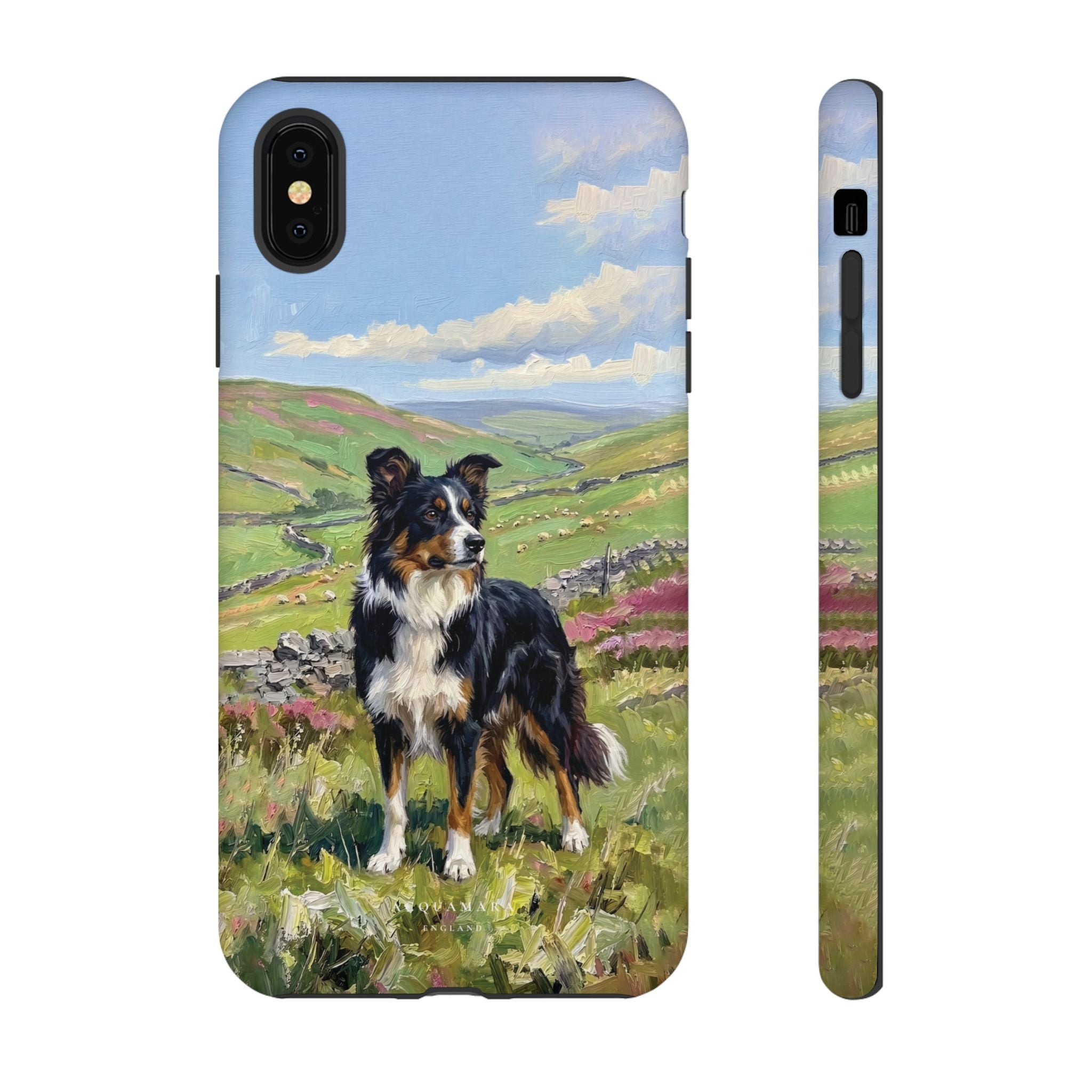 The Border Collie