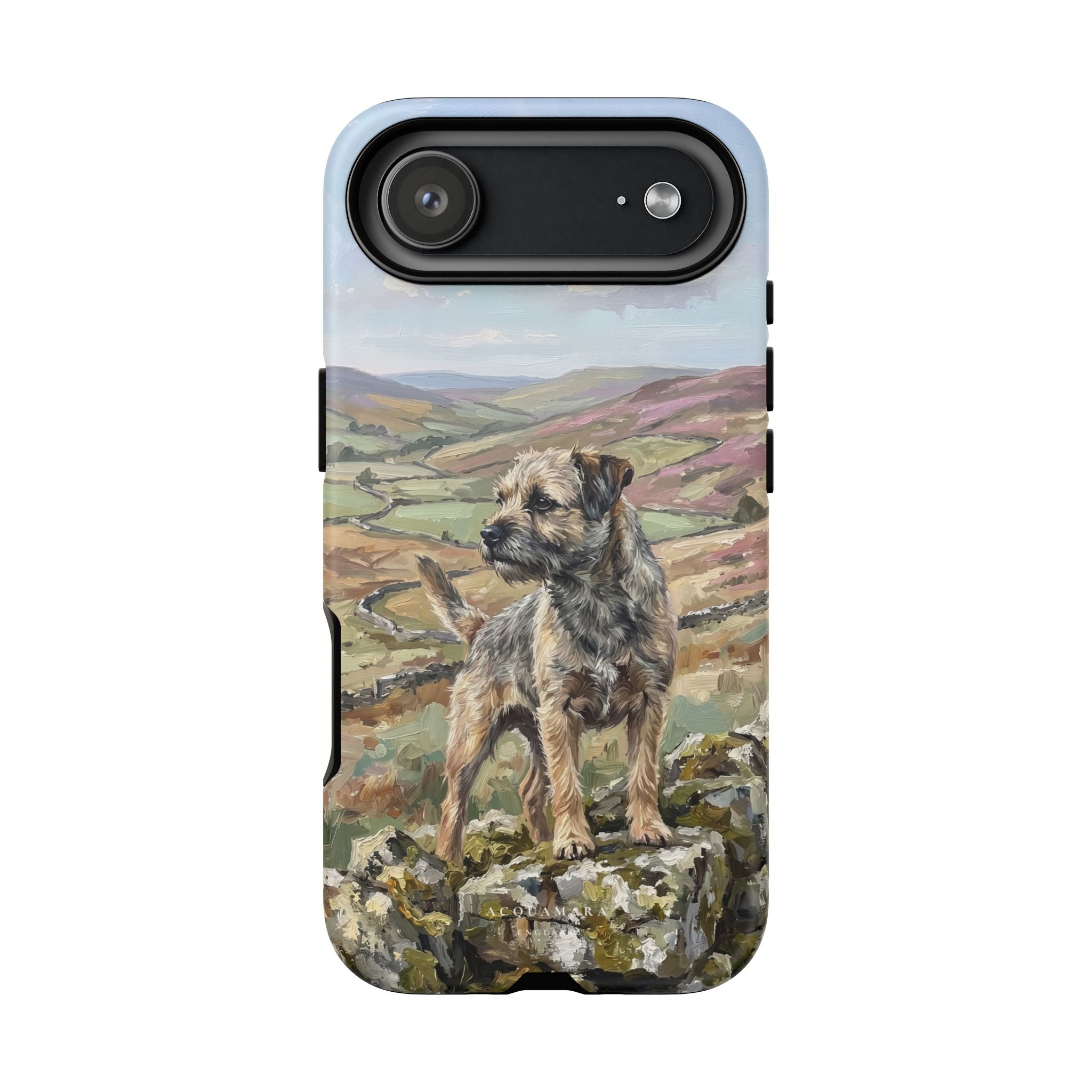 The Border Terrier (Grizzle and Tan)