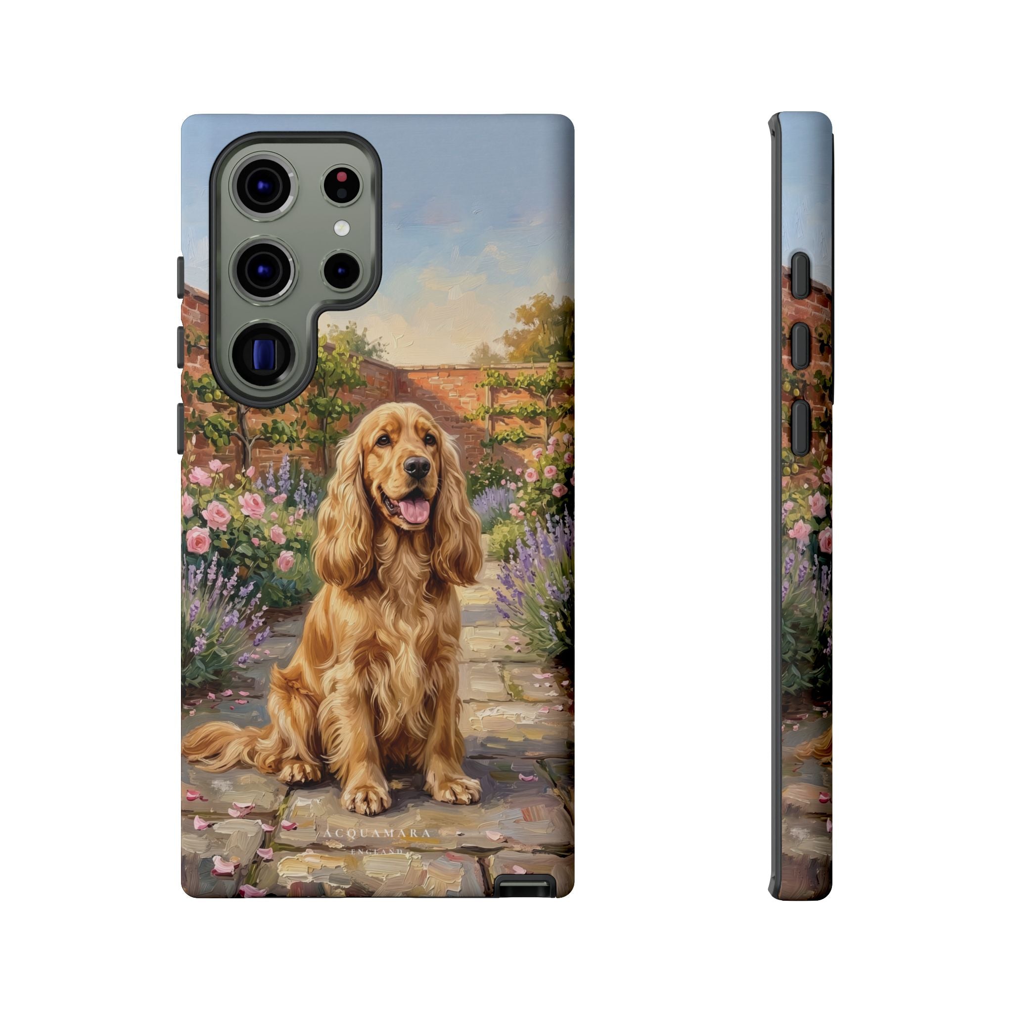 The Show Cocker (Golden)