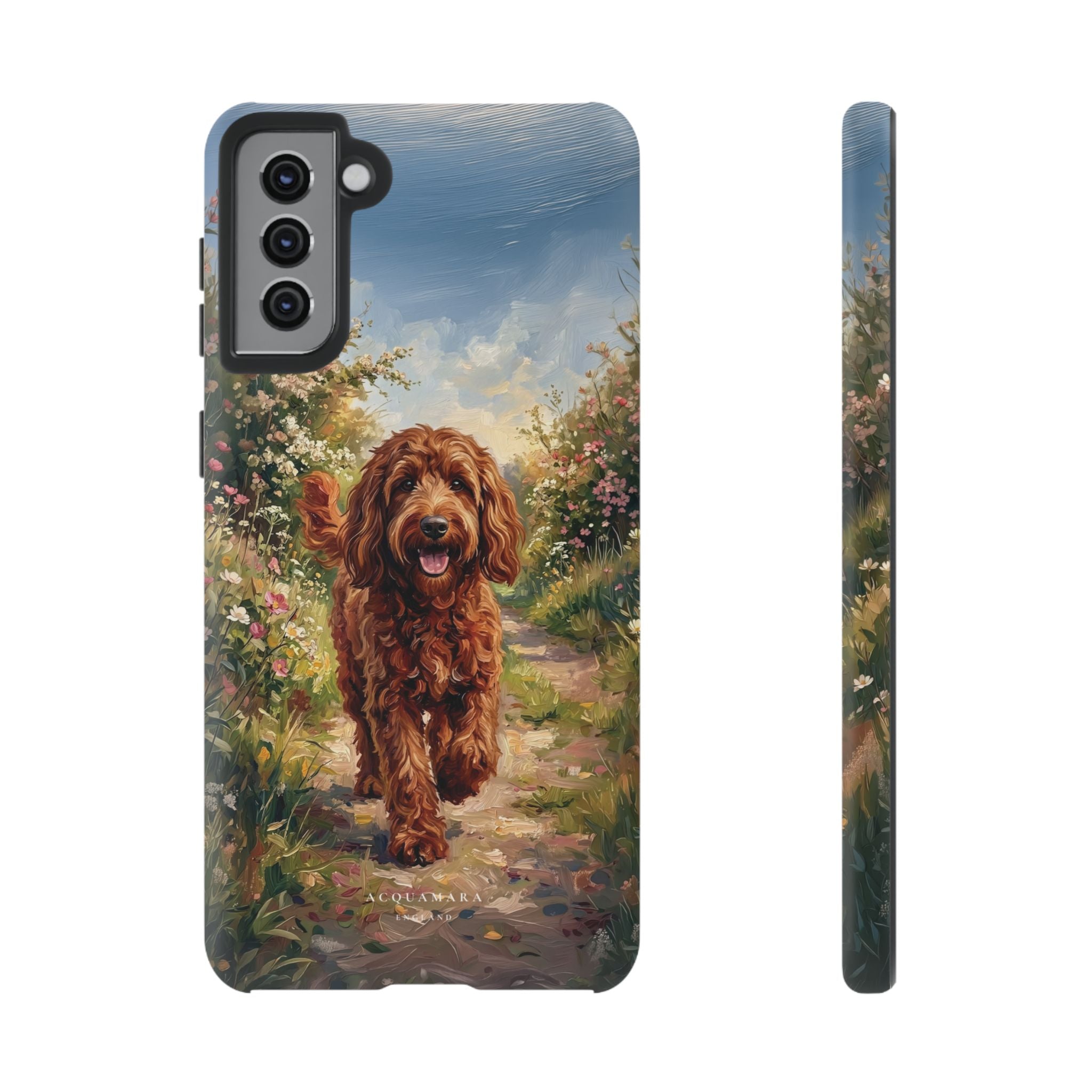 The Goldendoodle
