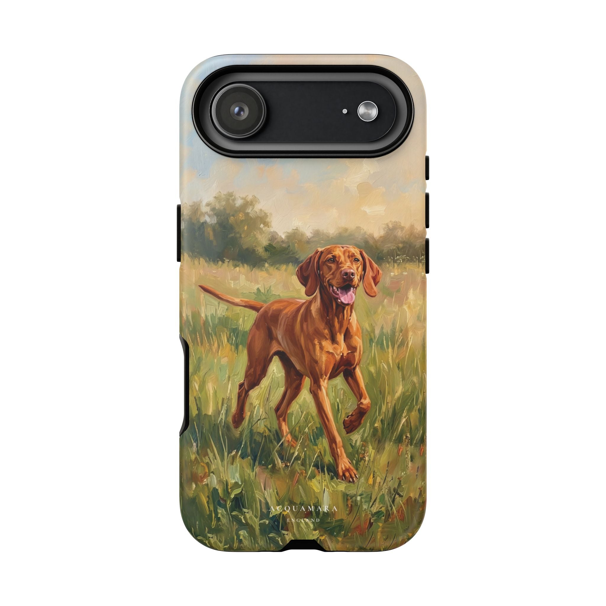 The Hungarian Vizsla