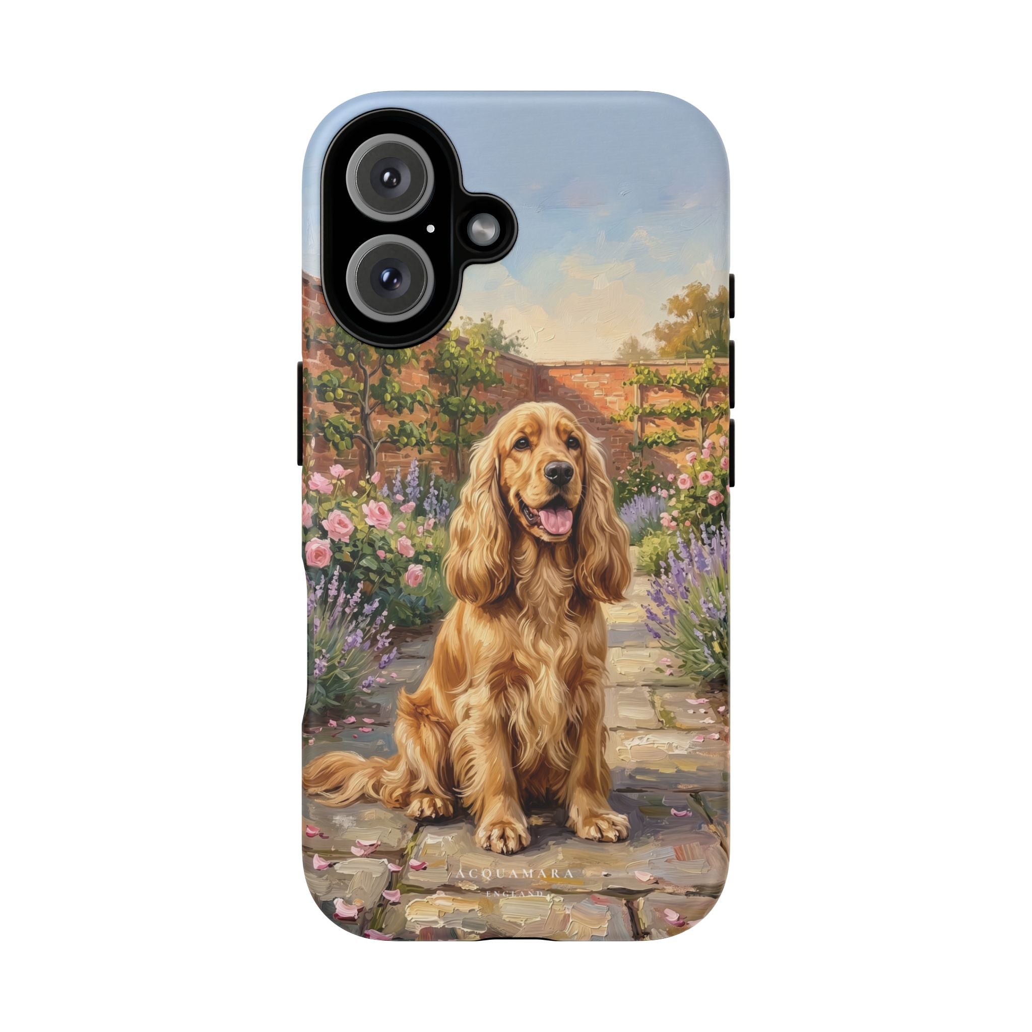 The Show Cocker (Golden)