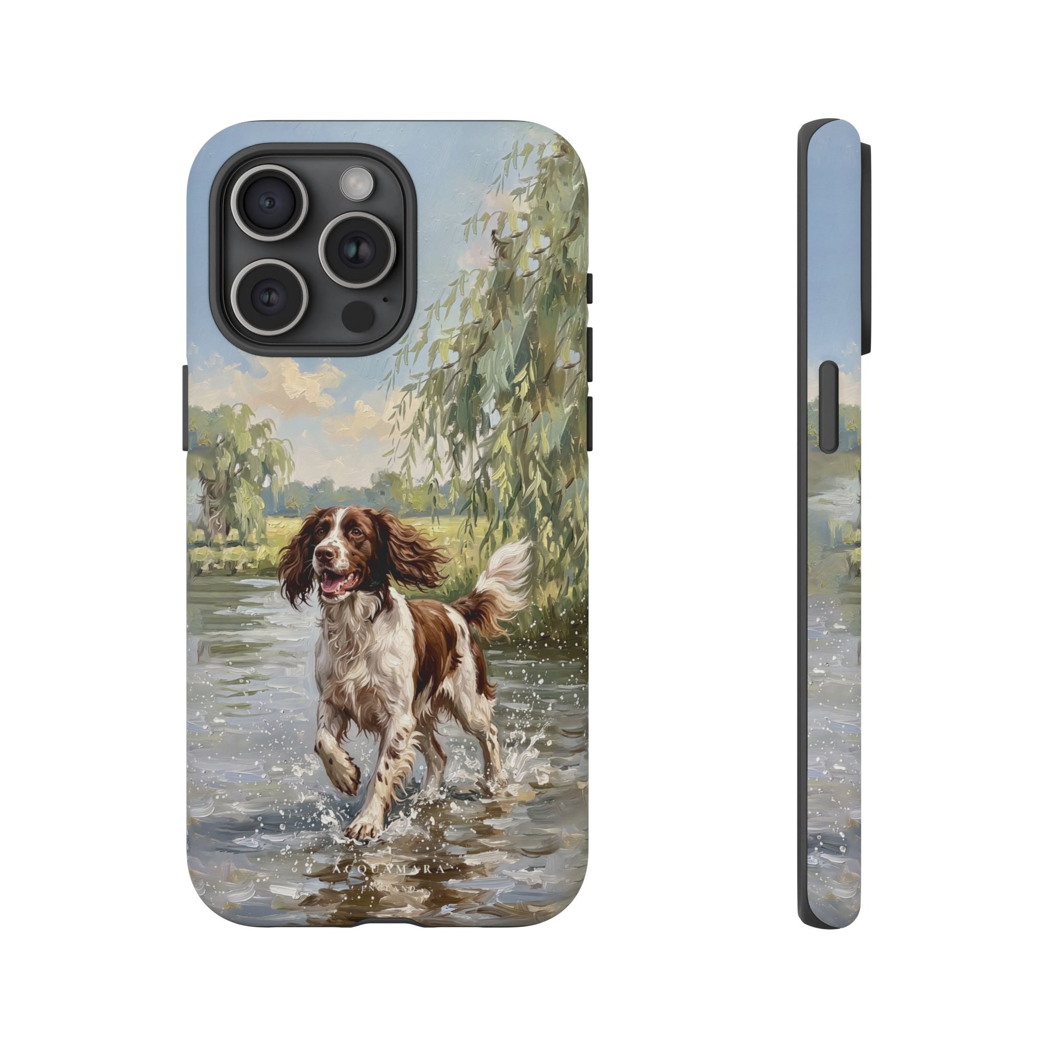 The Springer Spaniel (Liver and White)