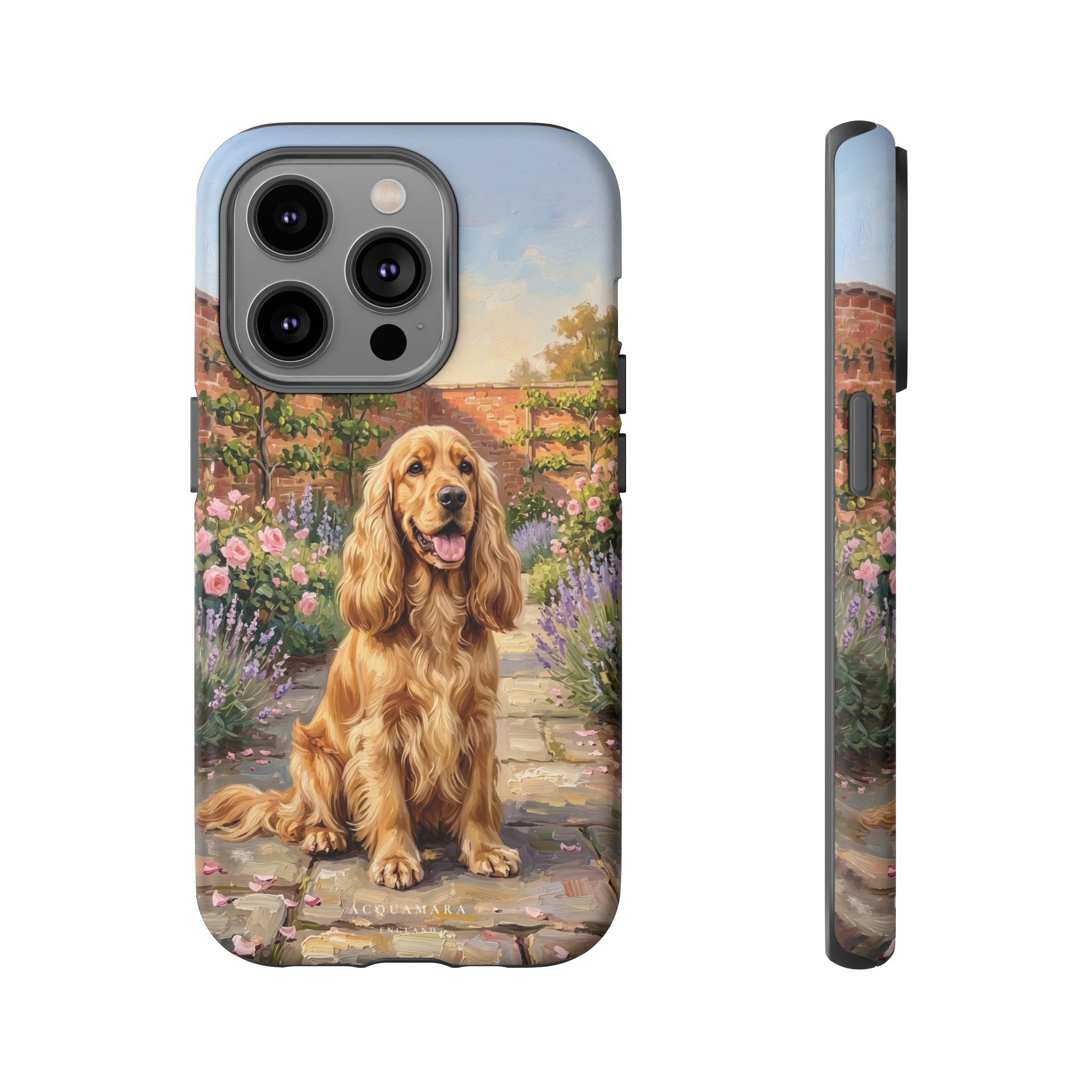 The Show Cocker (Golden)
