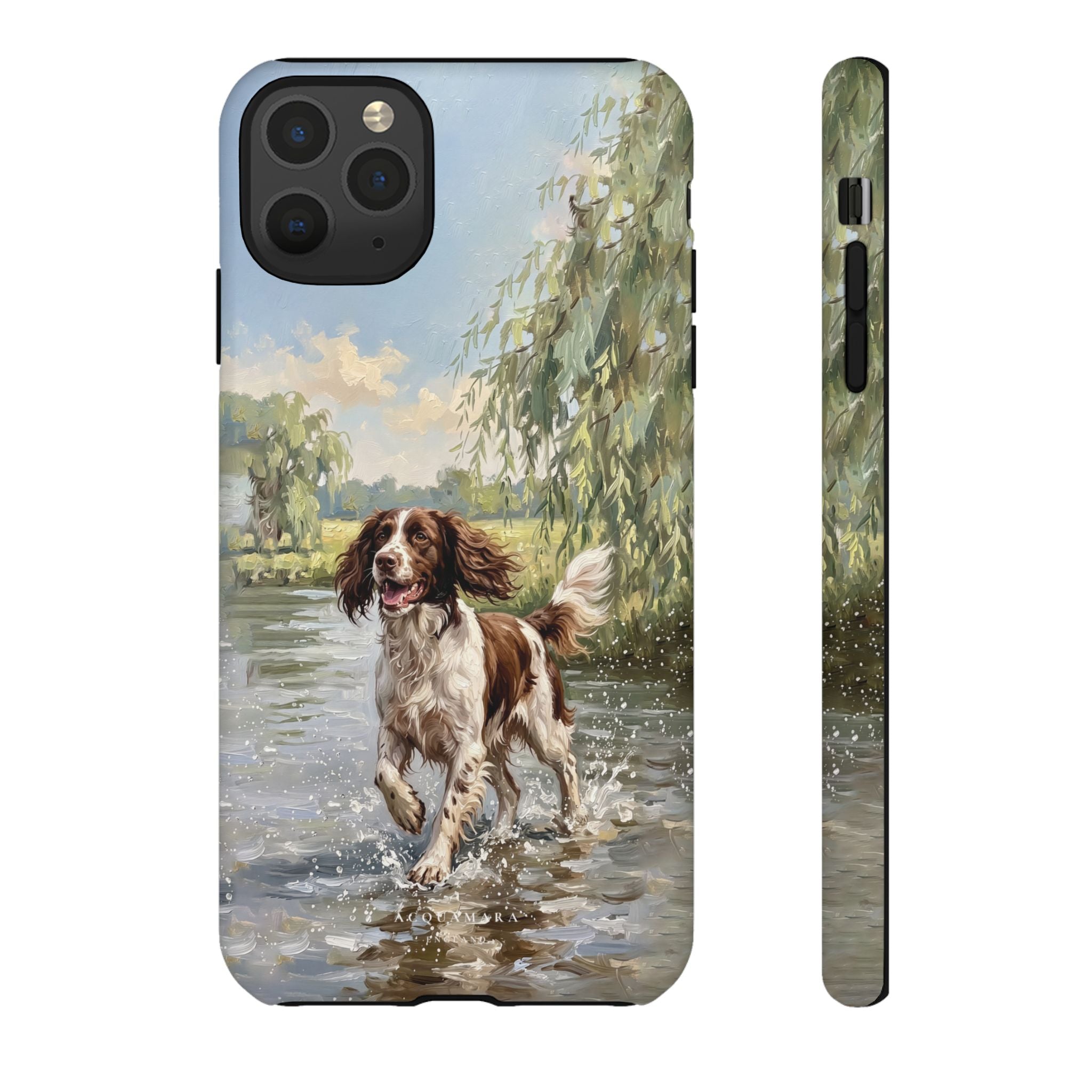 The Springer Spaniel (Liver and White)