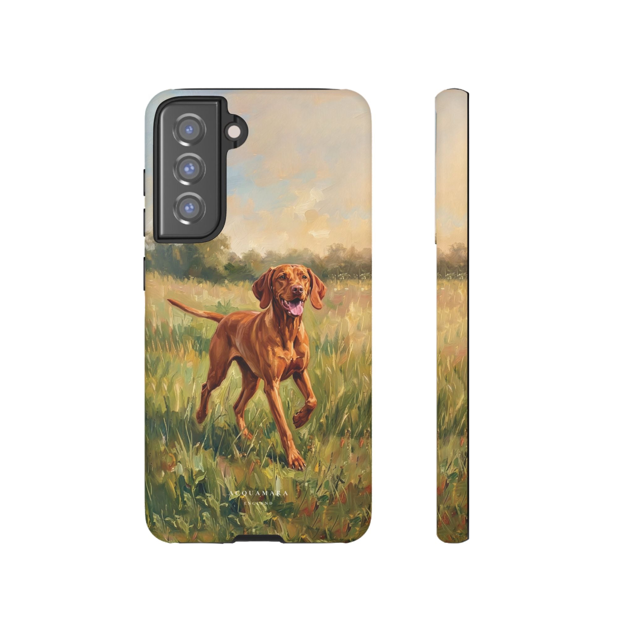 The Hungarian Vizsla