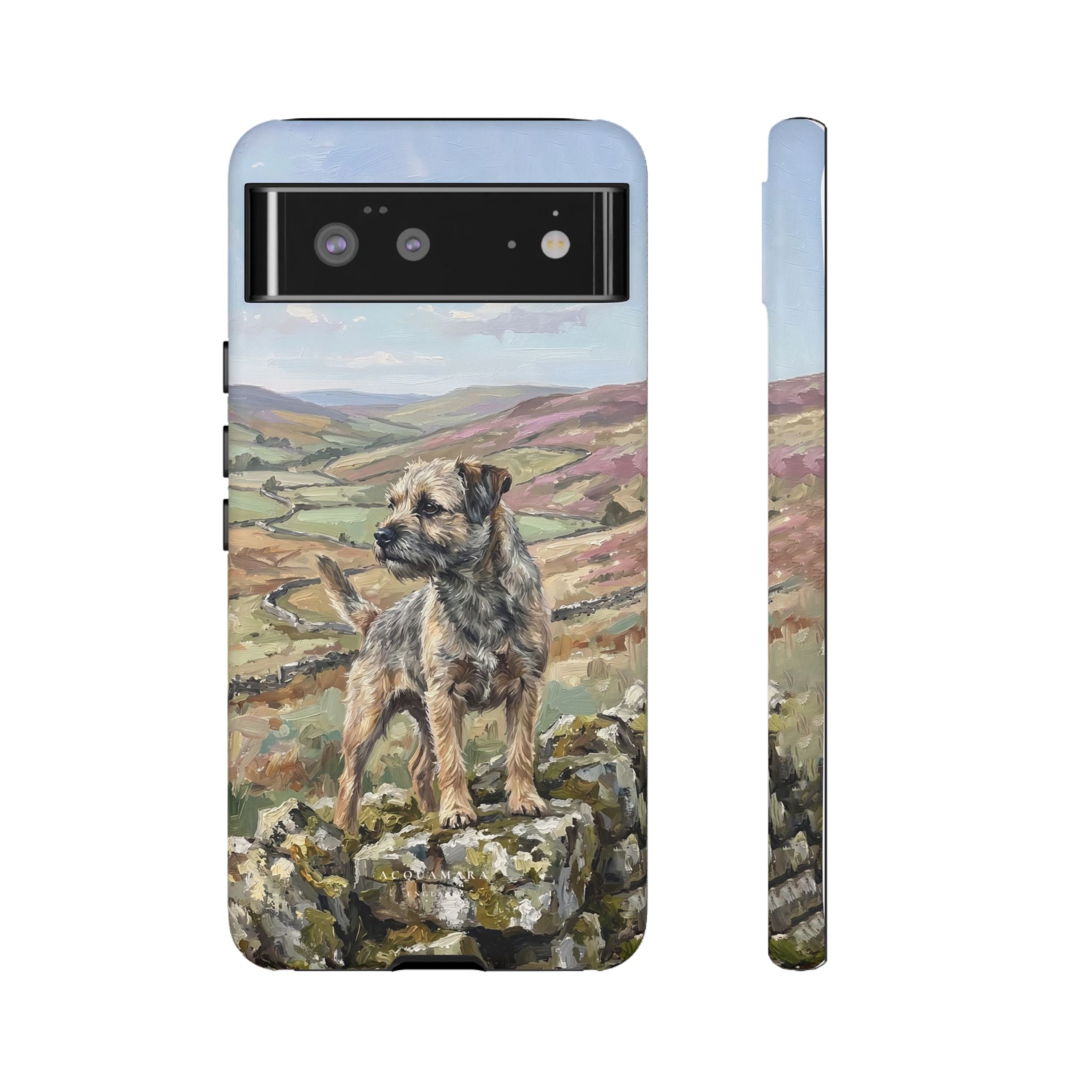 The Border Terrier (Grizzle and Tan)