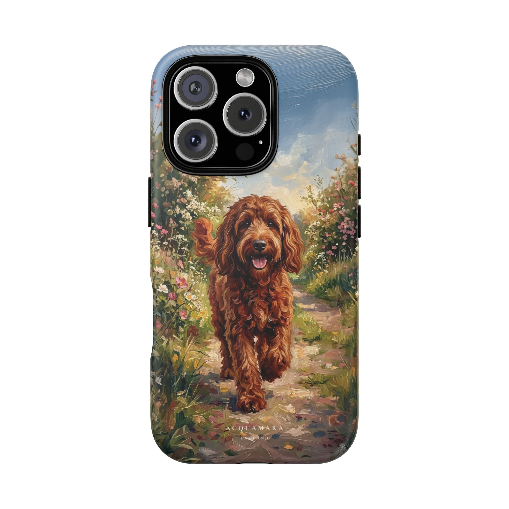 The Goldendoodle