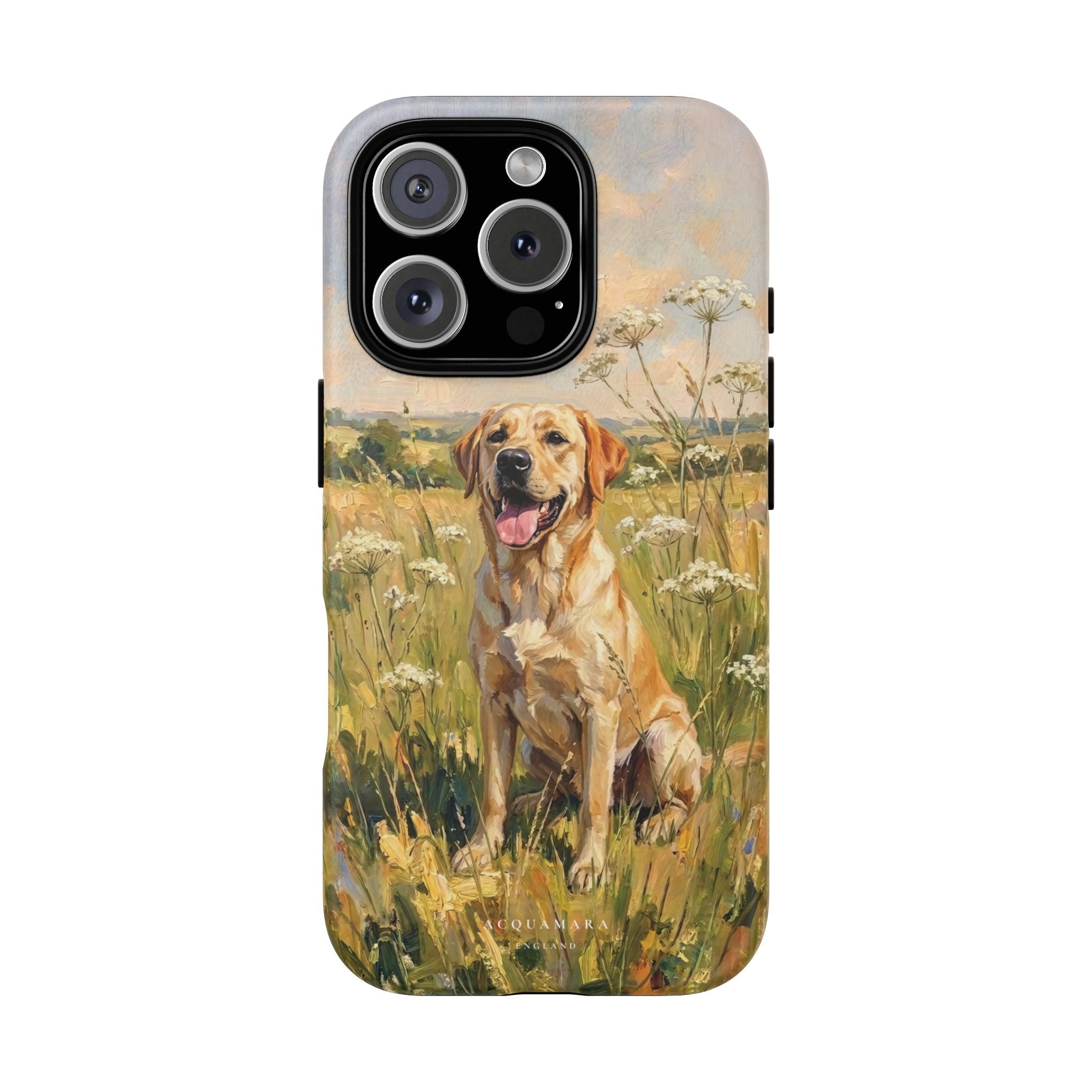 The Labrador (Yellow)