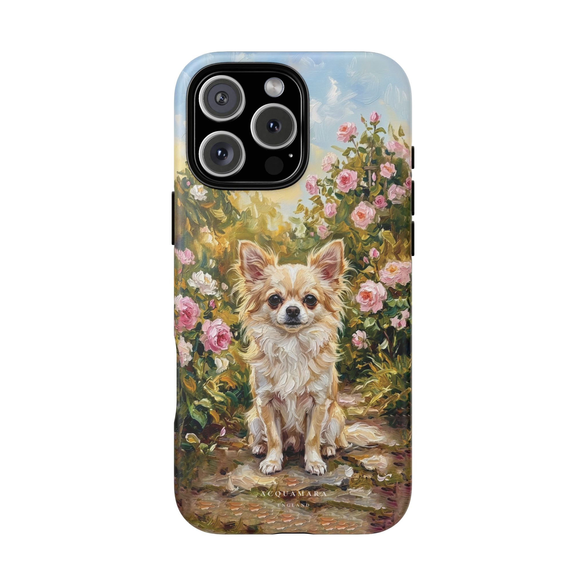 The Chihuahua - Longcoat