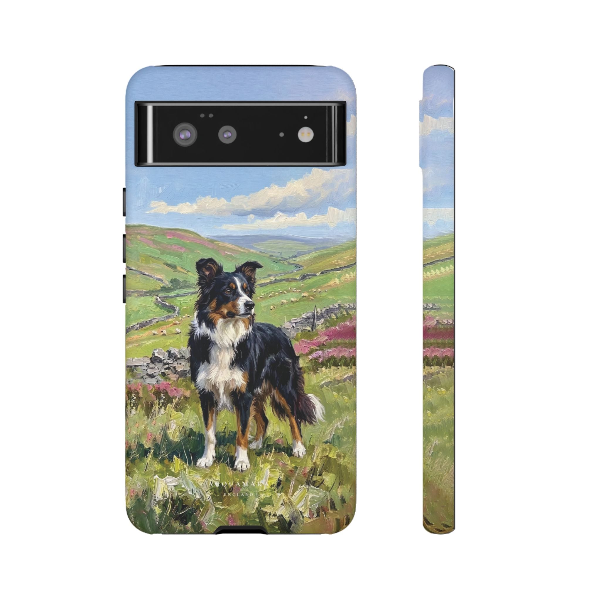 The Border Collie