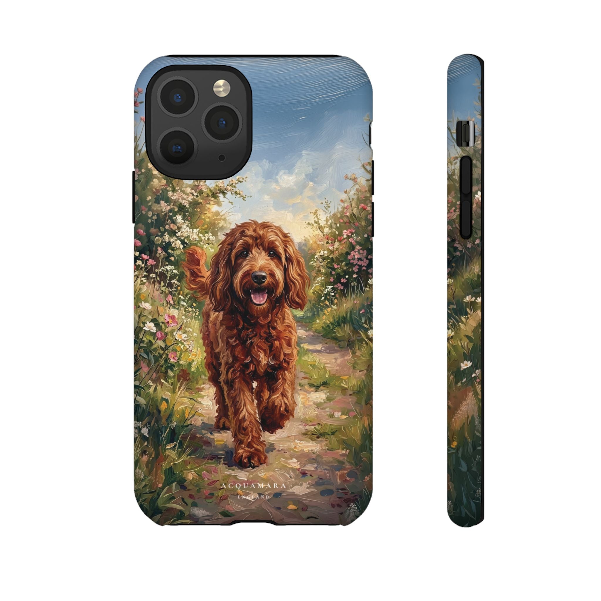 The Goldendoodle