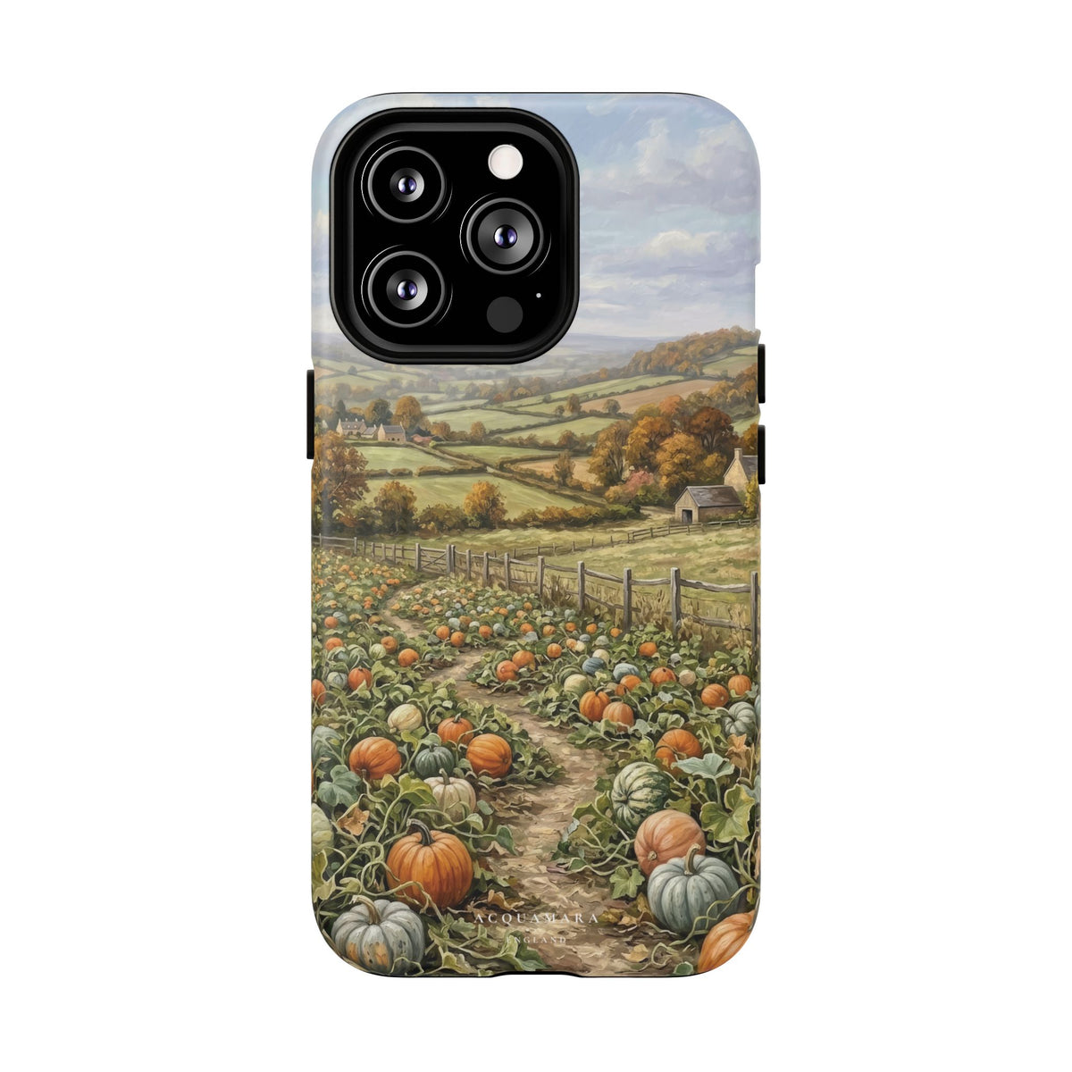 The Pumpkin Field (MagSafe)