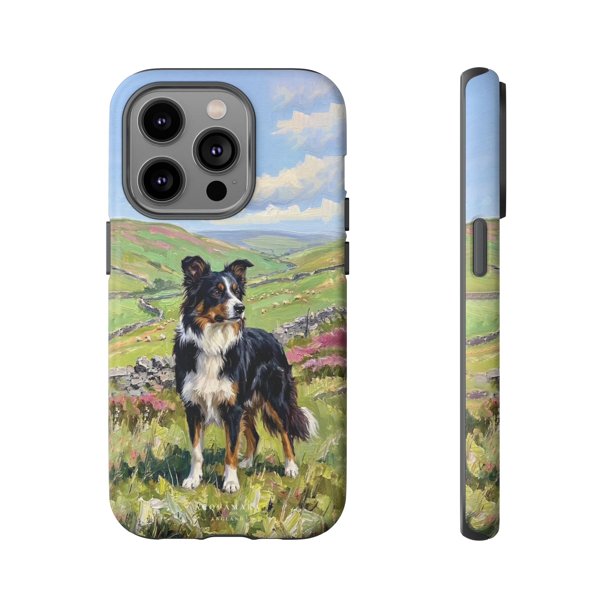 The Border Collie