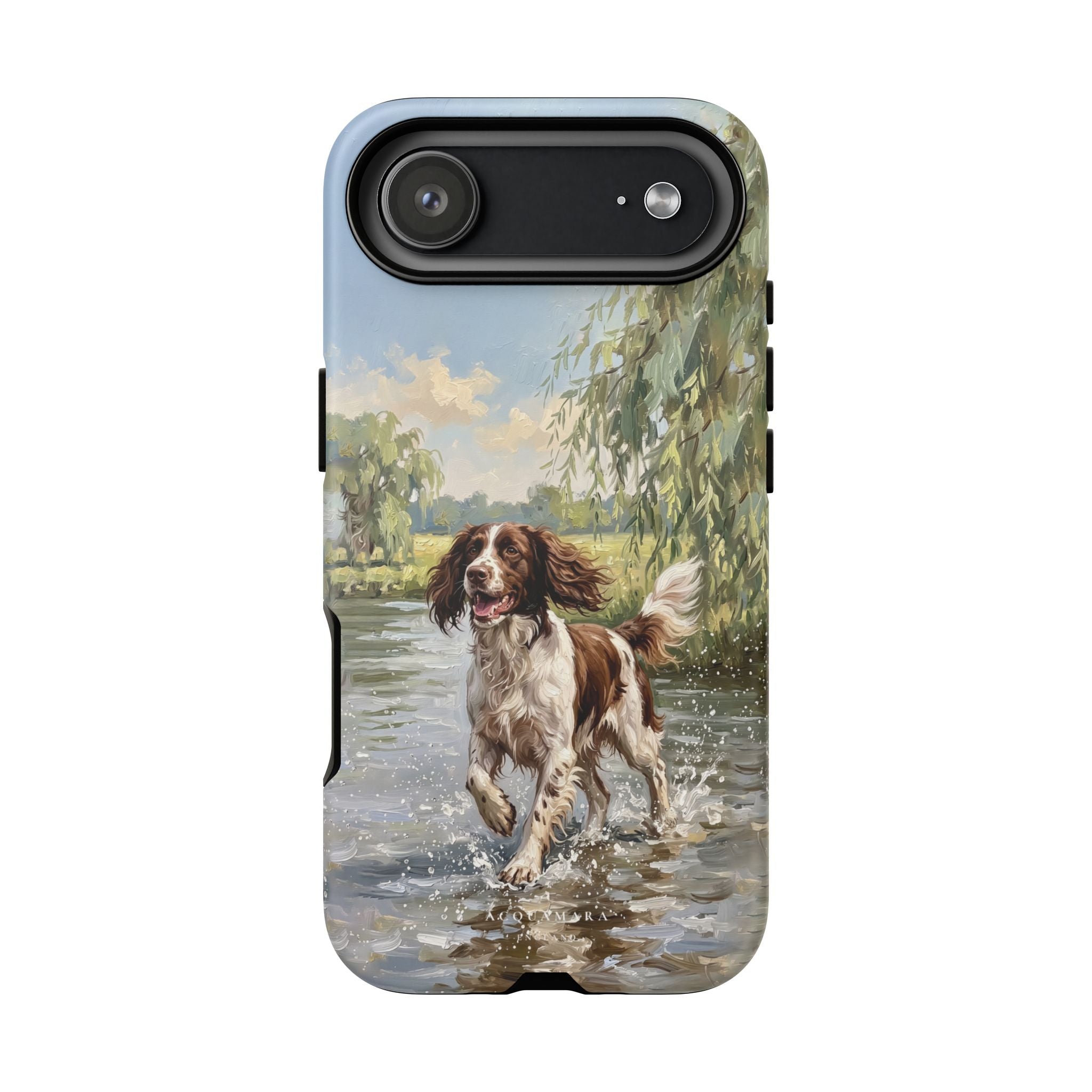 The Springer Spaniel (Liver and White)