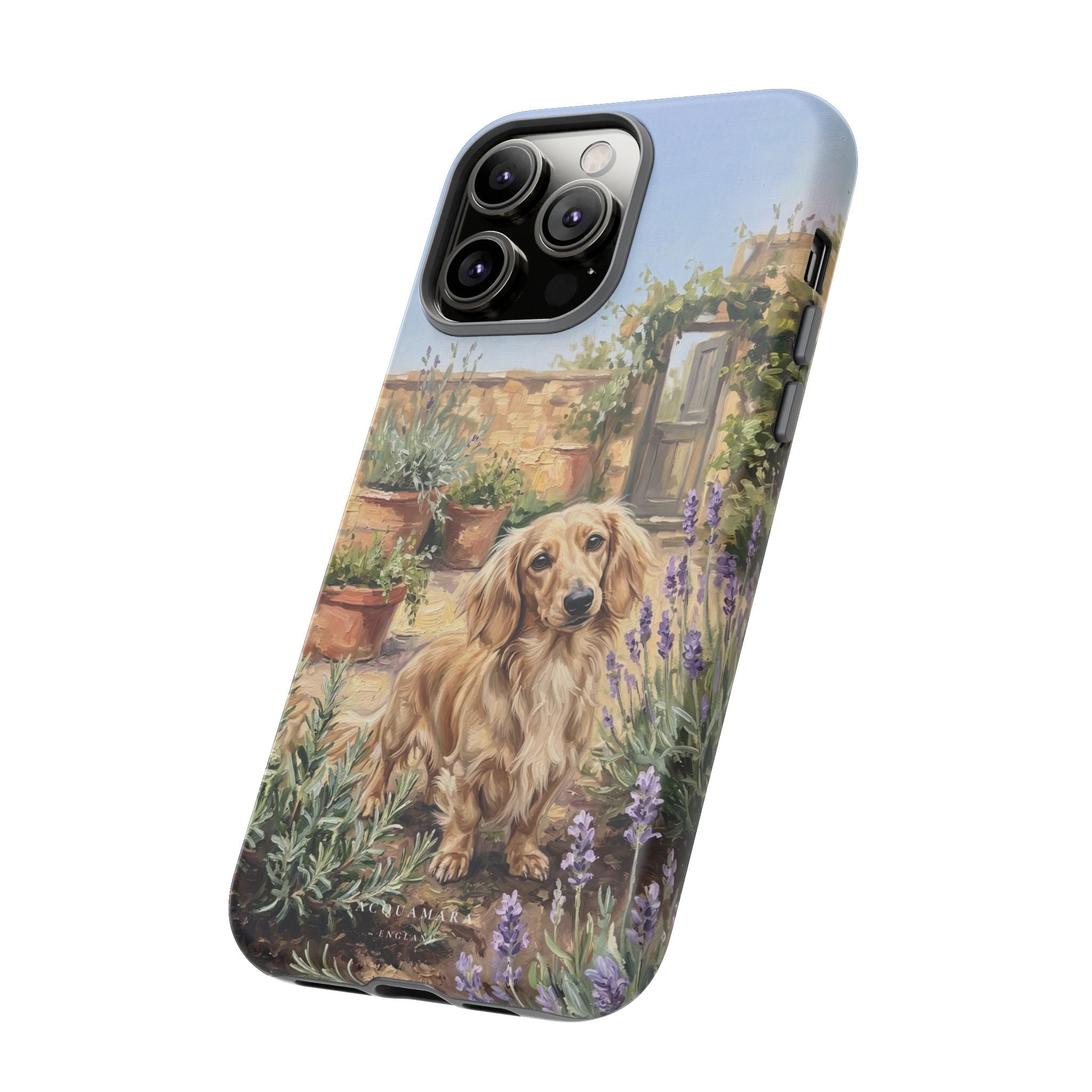 The Dachshund (Blonde long hair)