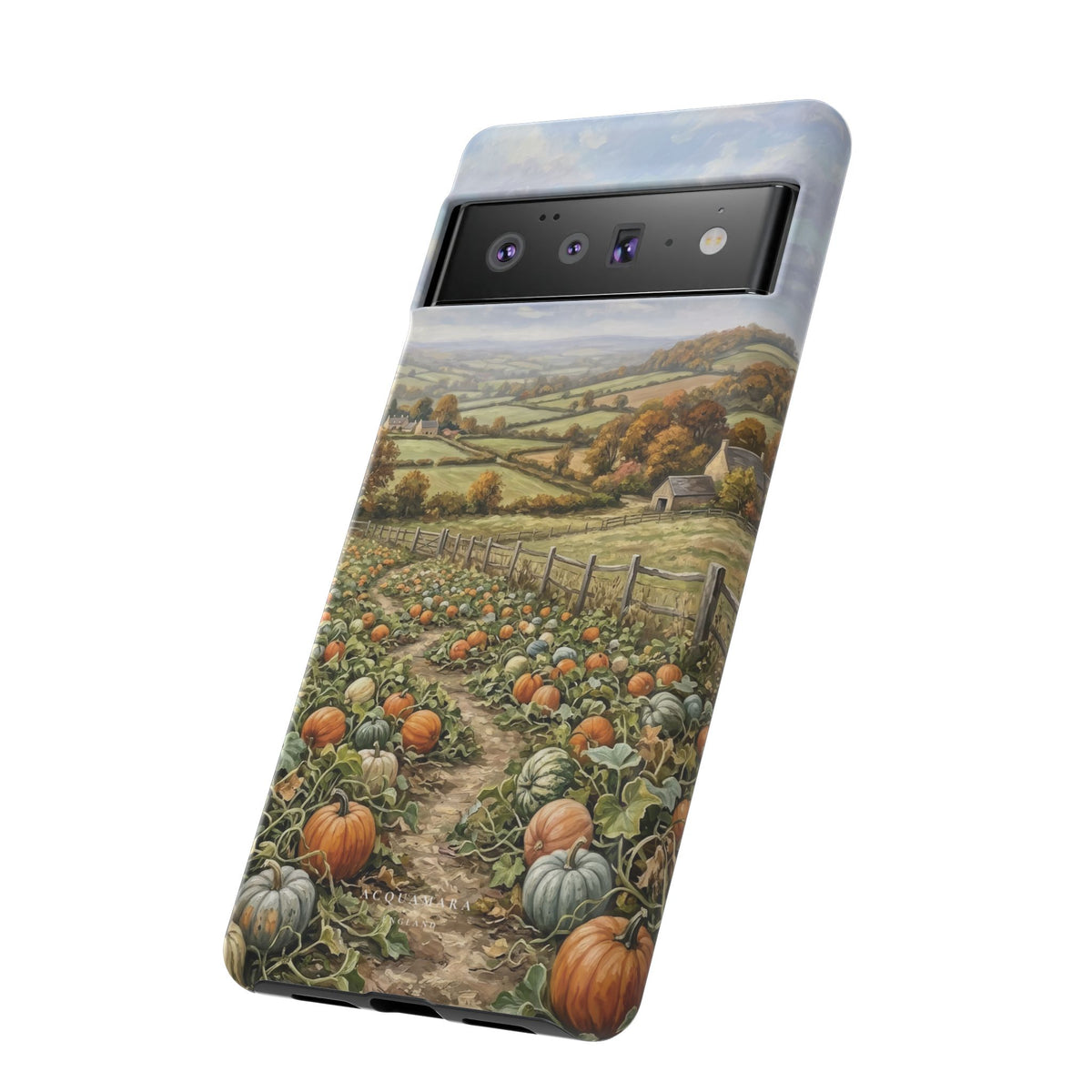 The Pumpkin Field
