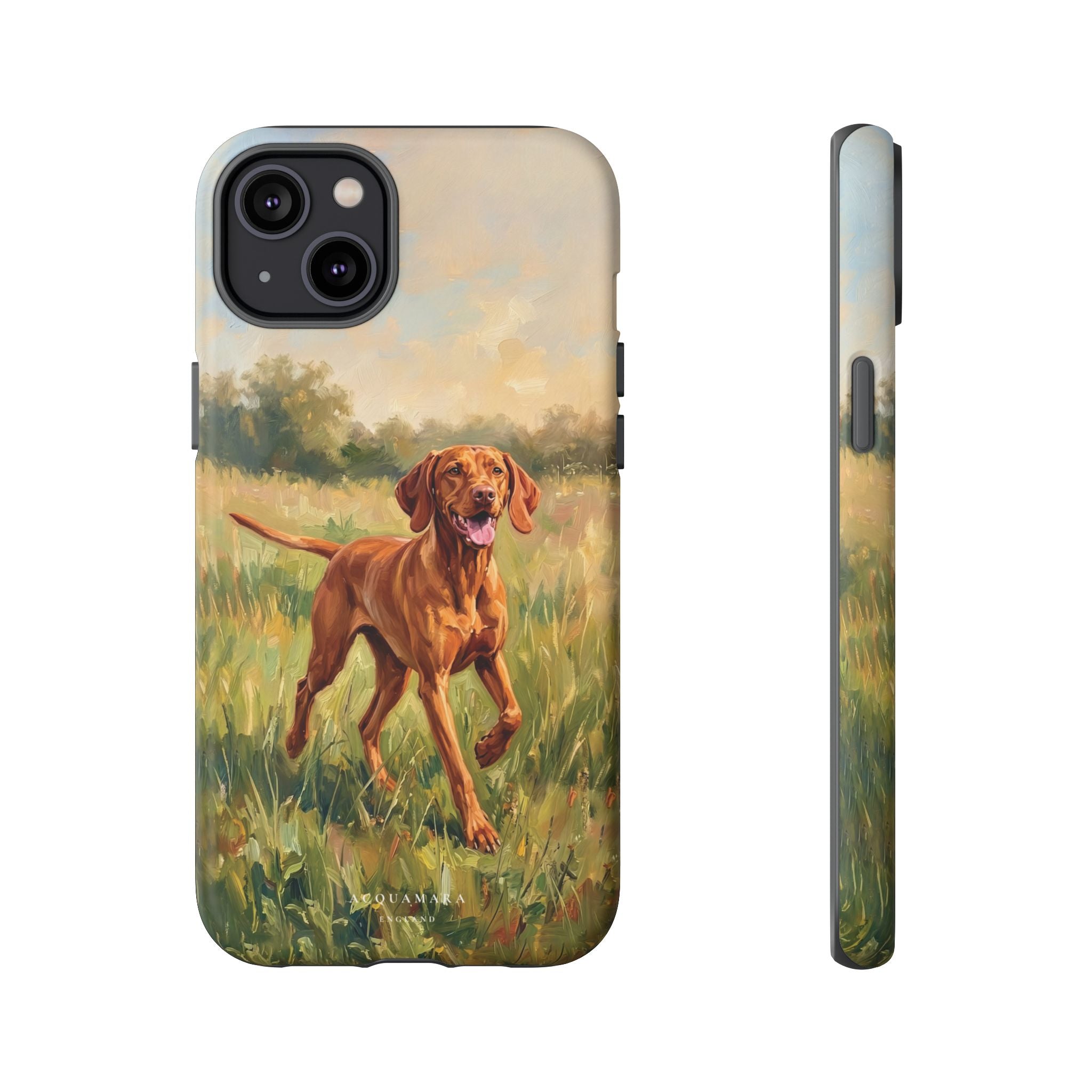 The Hungarian Vizsla