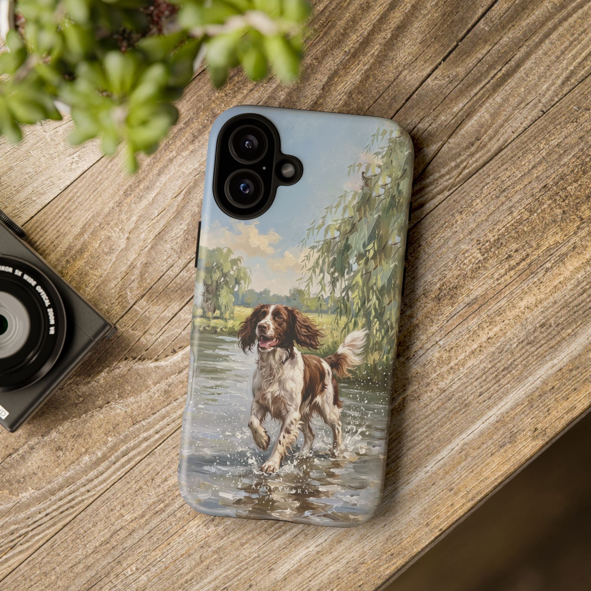 The Springer Spaniel (Liver and White)