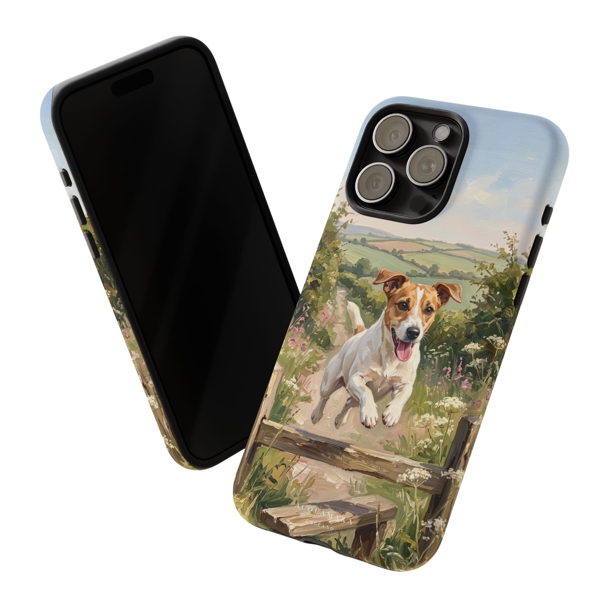 The Jack Russell (White and Tan)