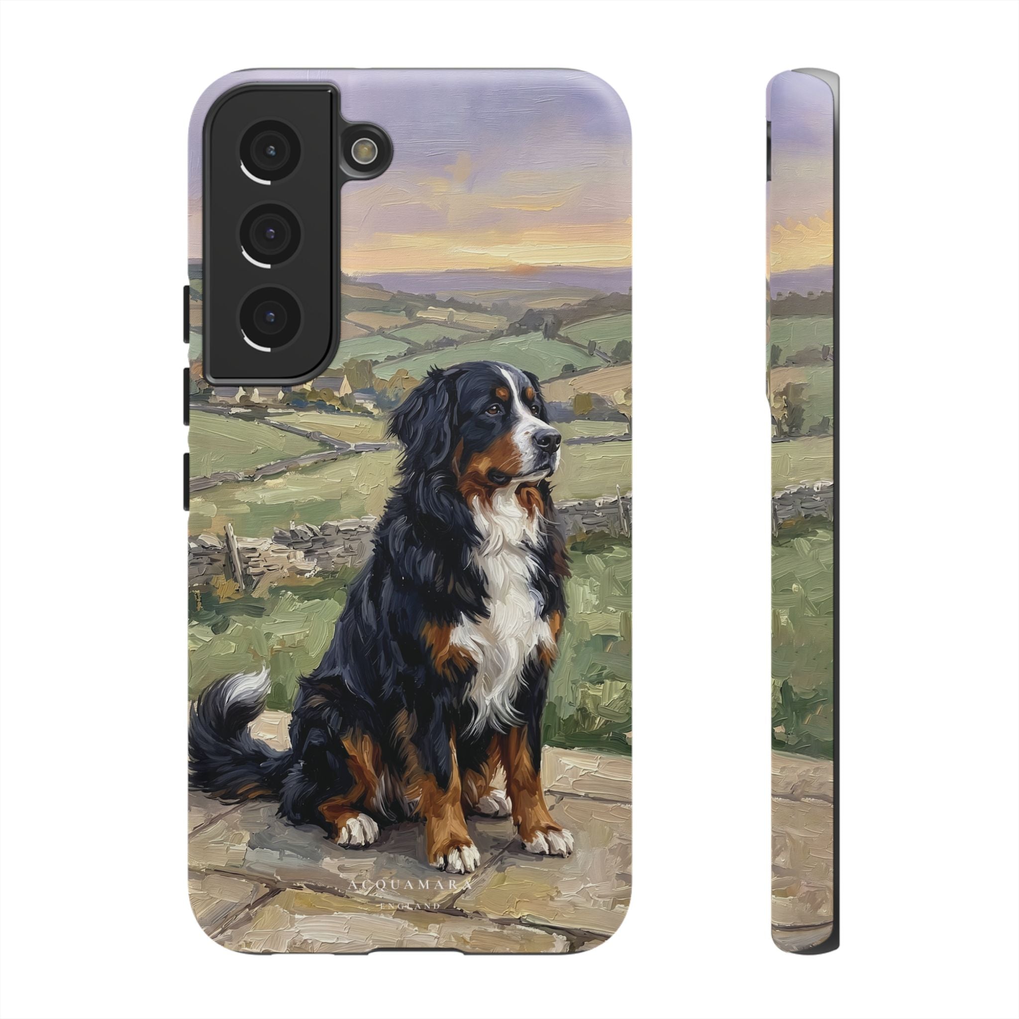 The Bernese Mountain Dog