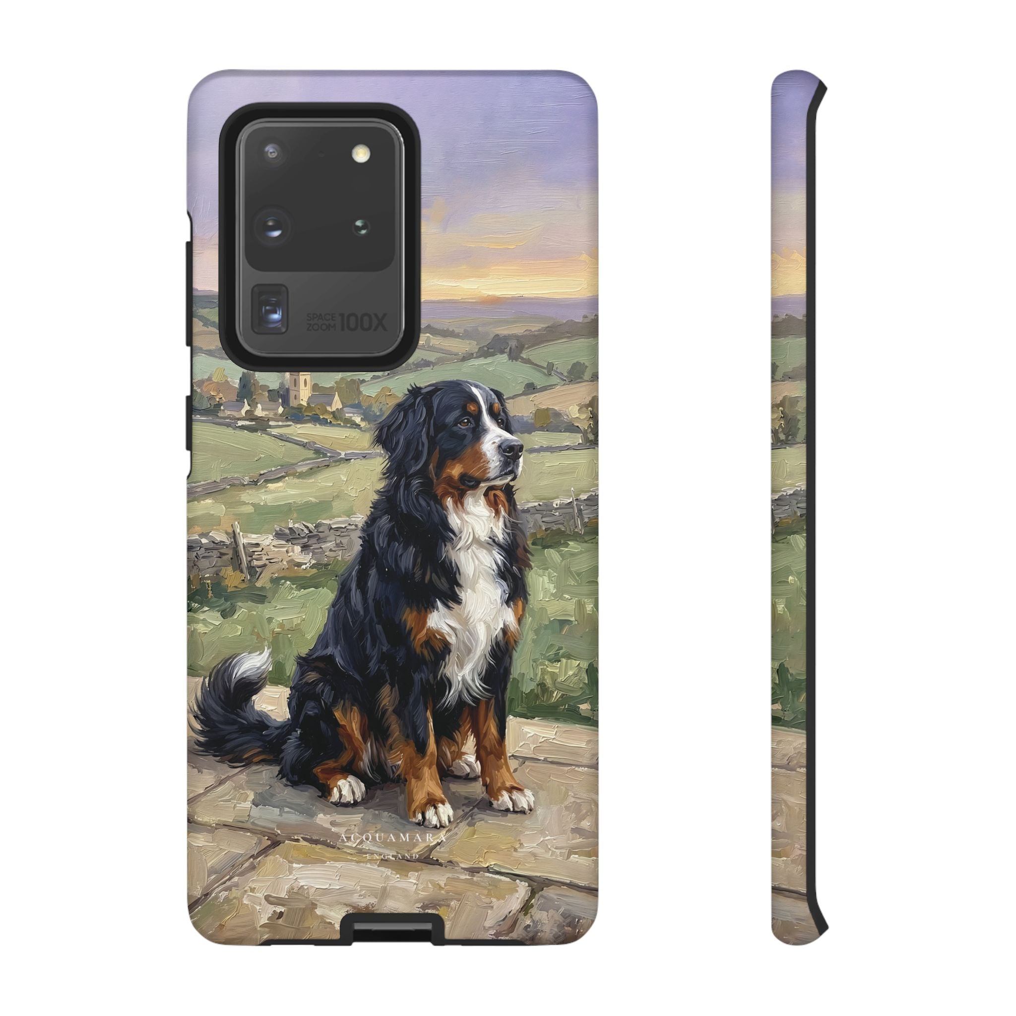 The Bernese Mountain Dog