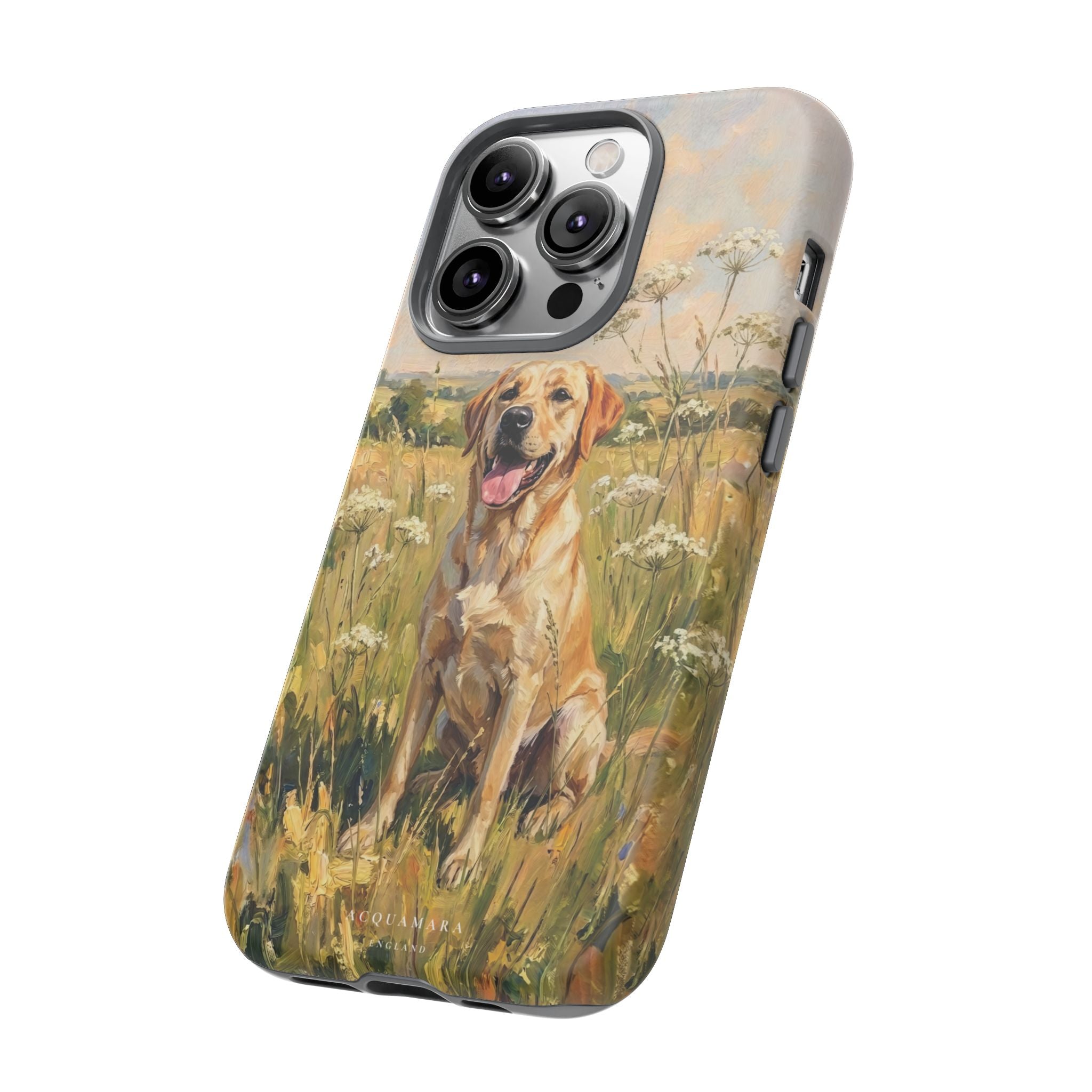 The Labrador (Yellow)
