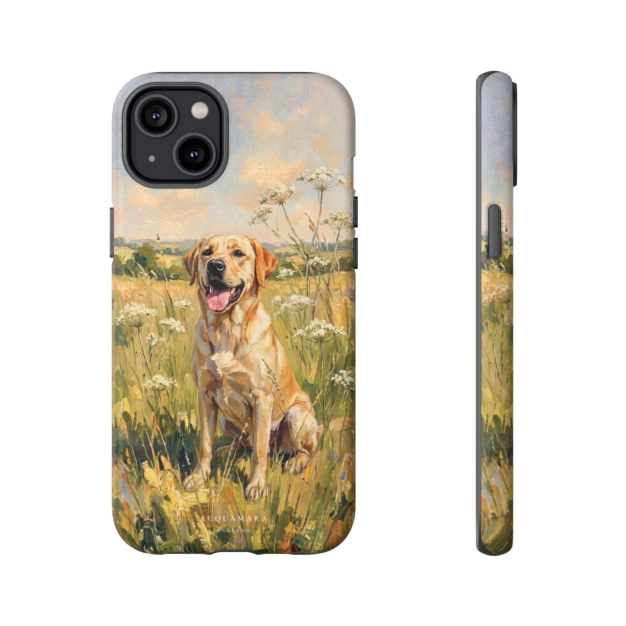 The Labrador (Yellow)