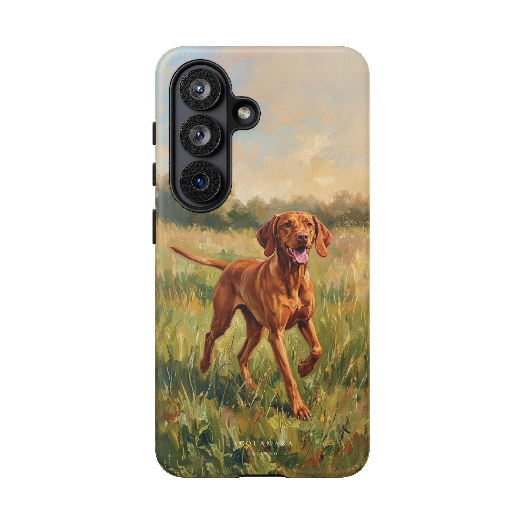 The Hungarian Vizsla