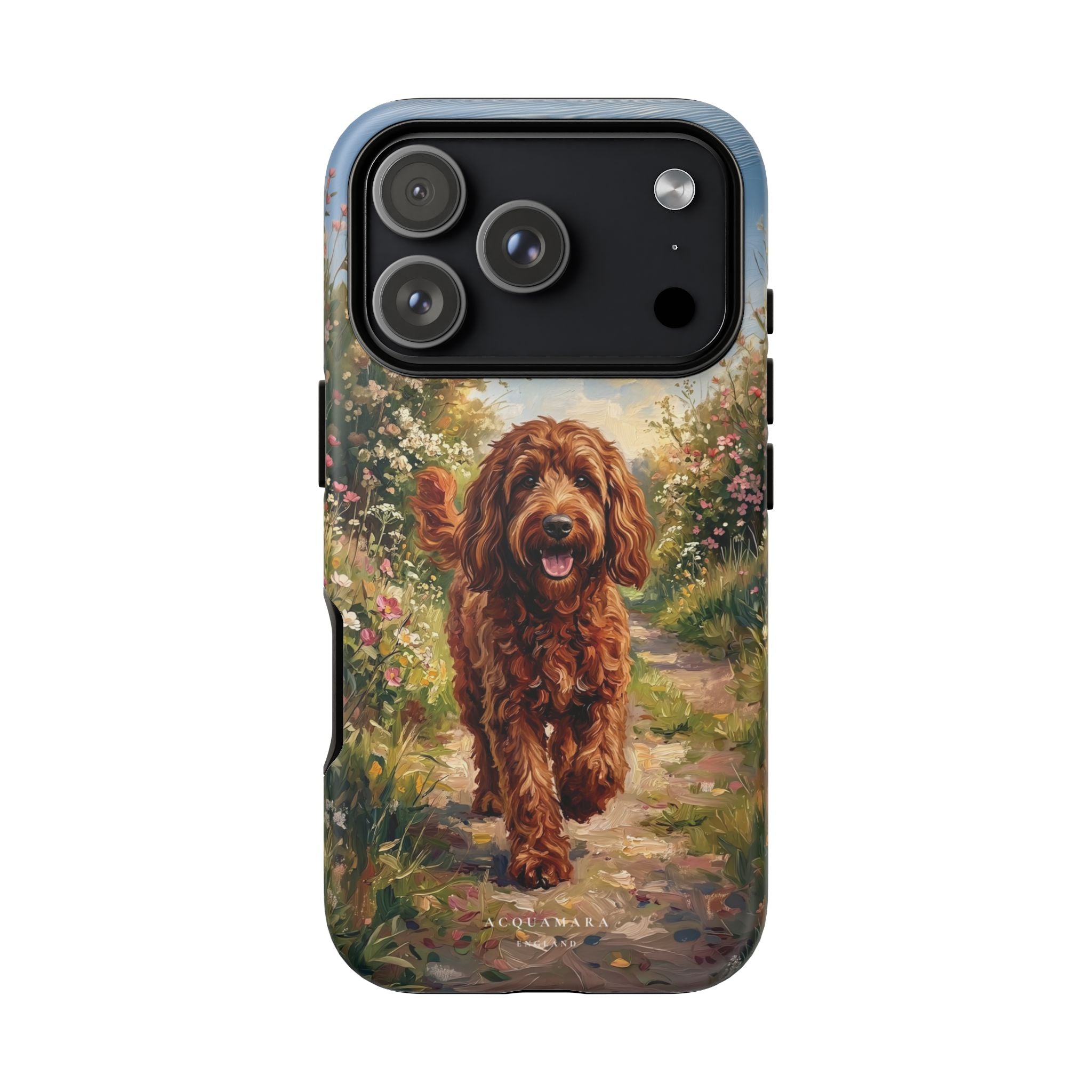 The Goldendoodle