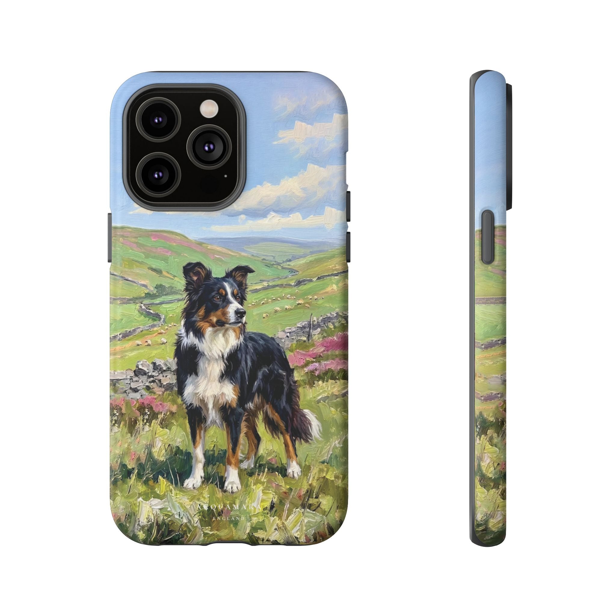 The Border Collie
