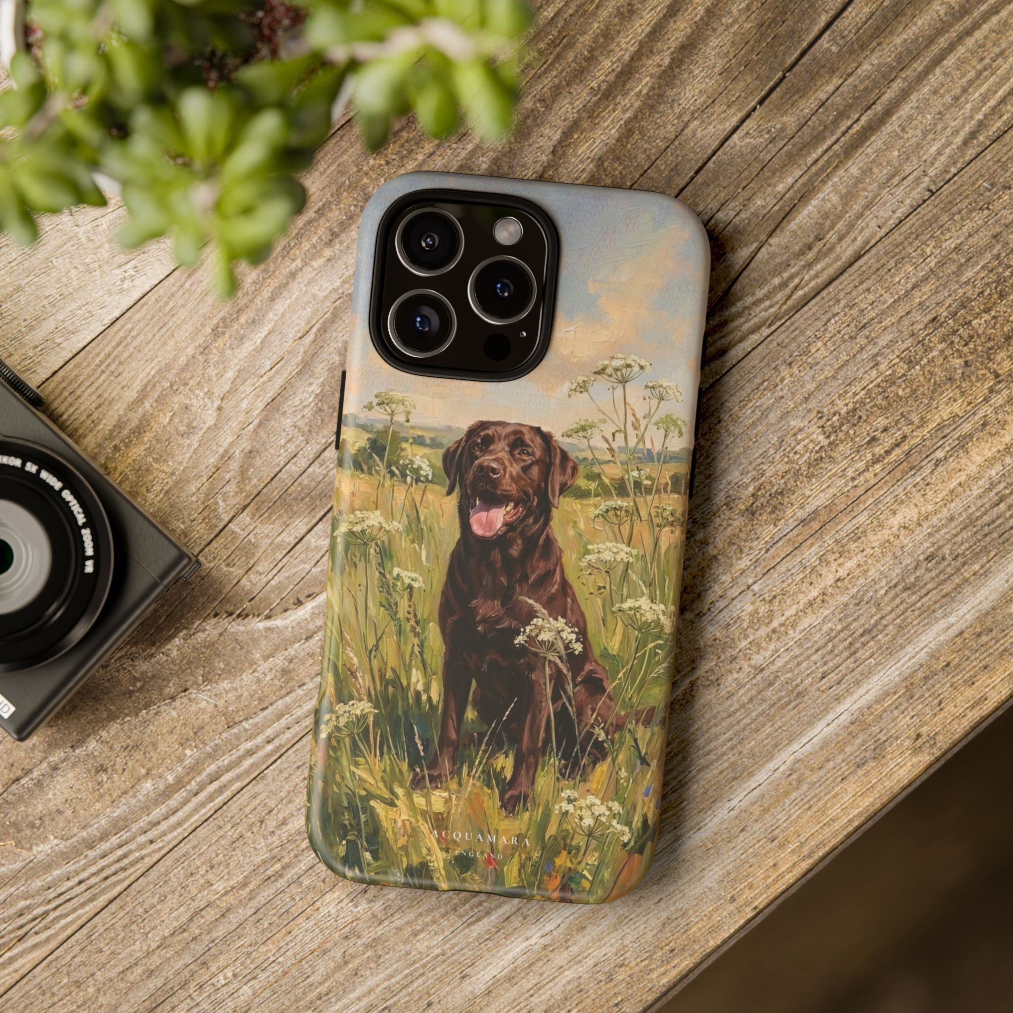The Labrador (Chocolate)