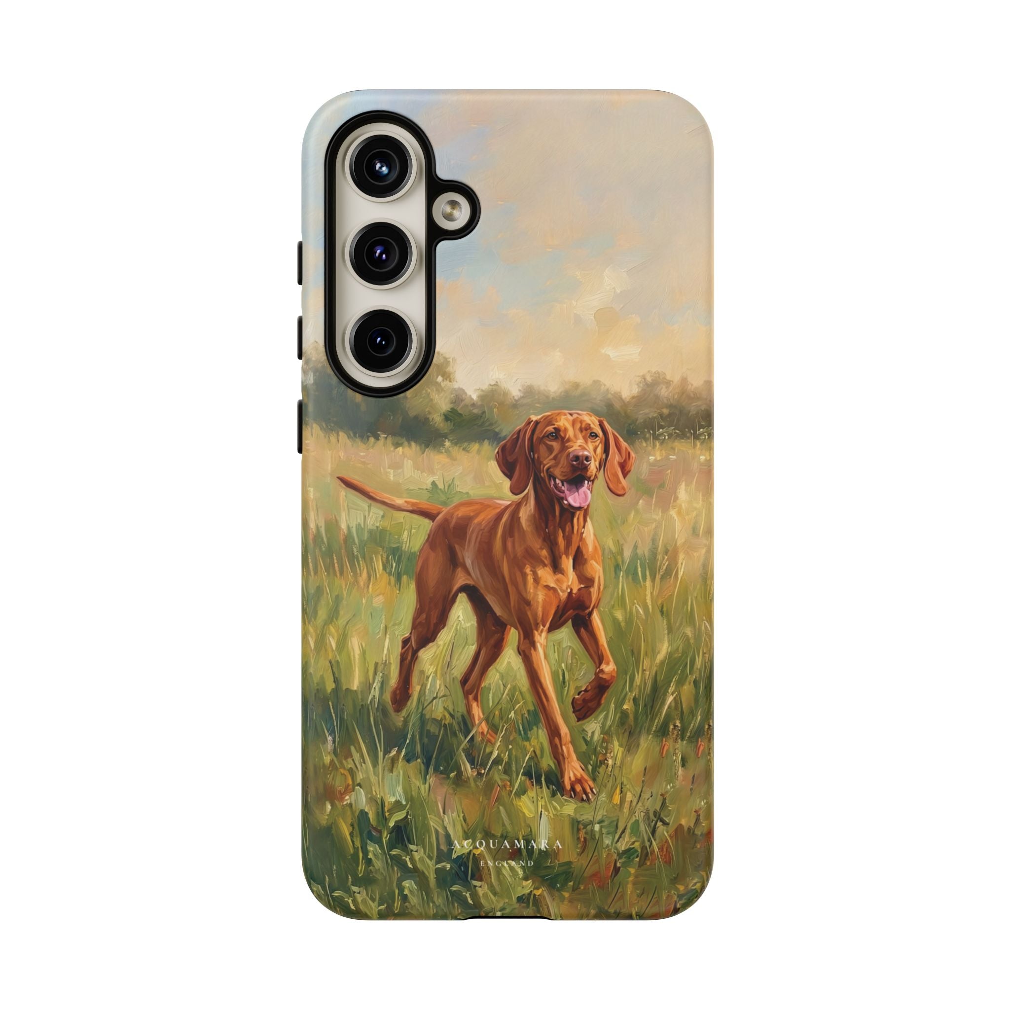 The Hungarian Vizsla