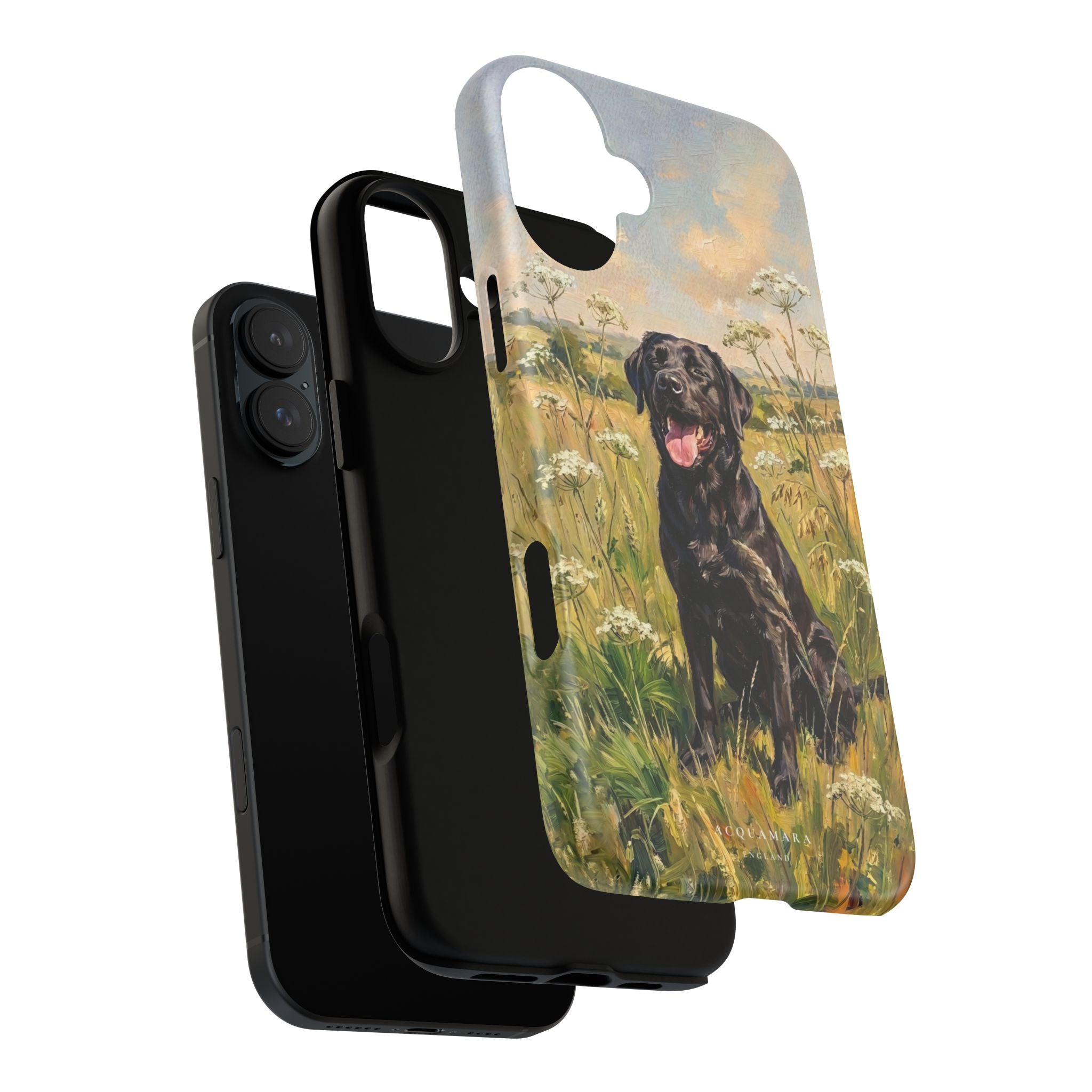 The Labrador (Black)