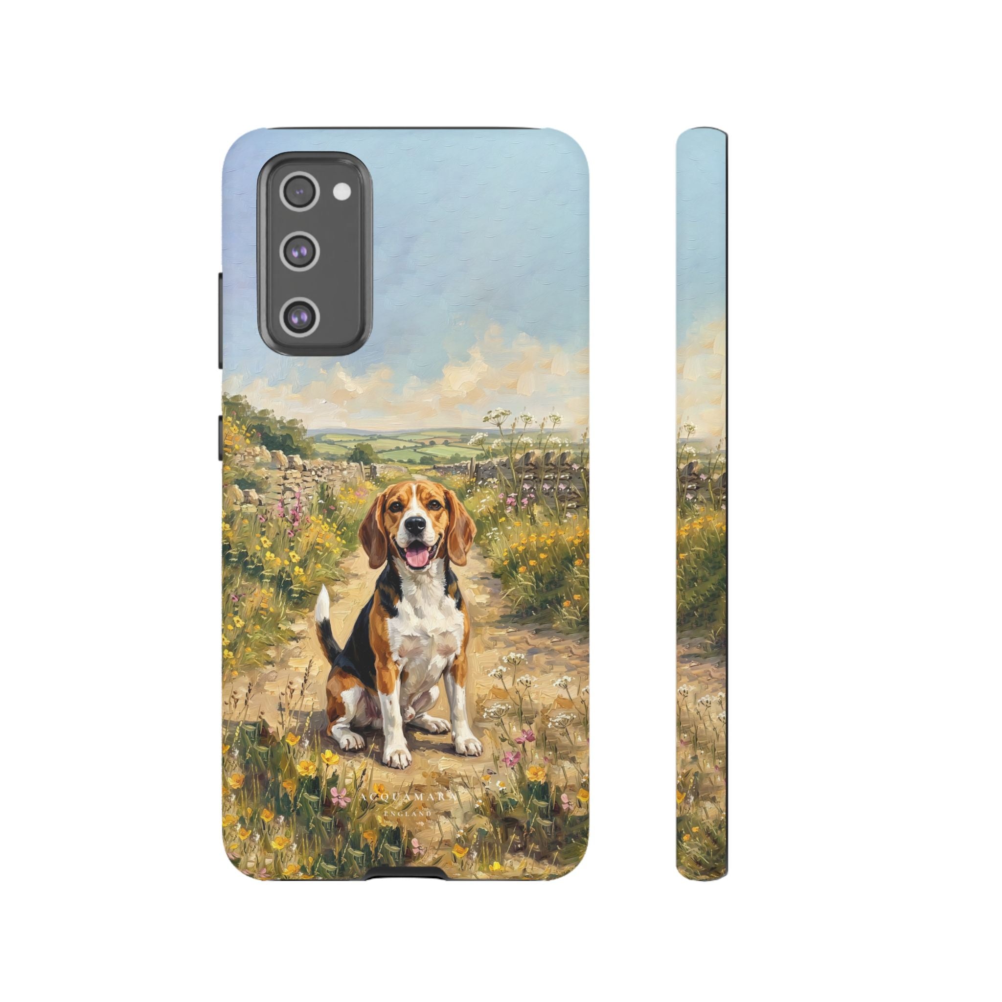 The Beagle