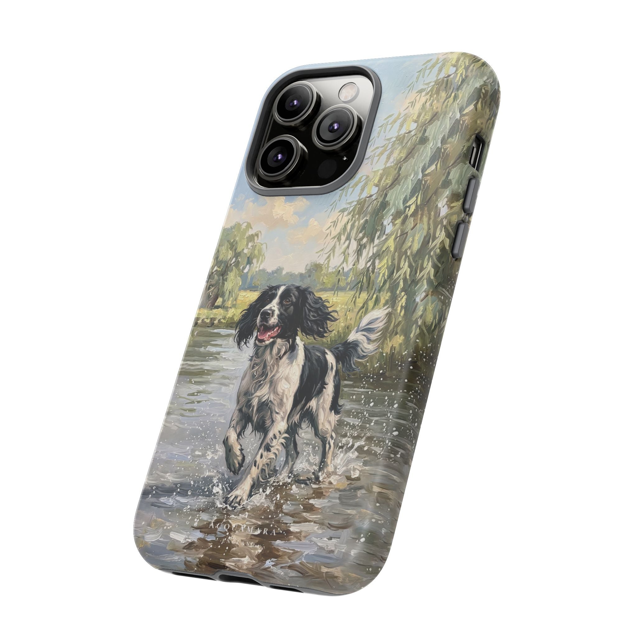 The Springer Spaniel (Black and White)
